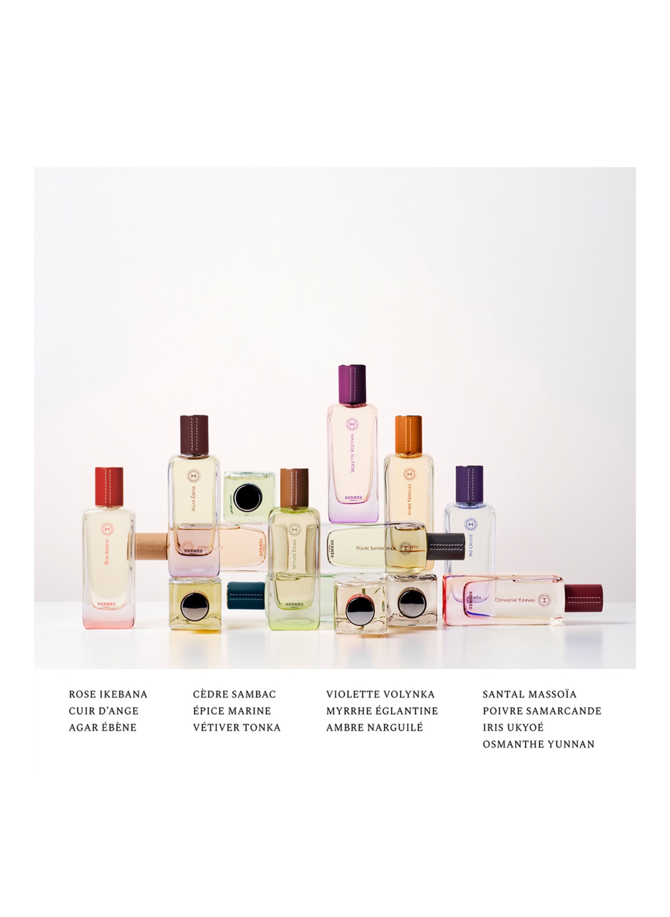 HERMÈS VIOLETTE VOLYNKA