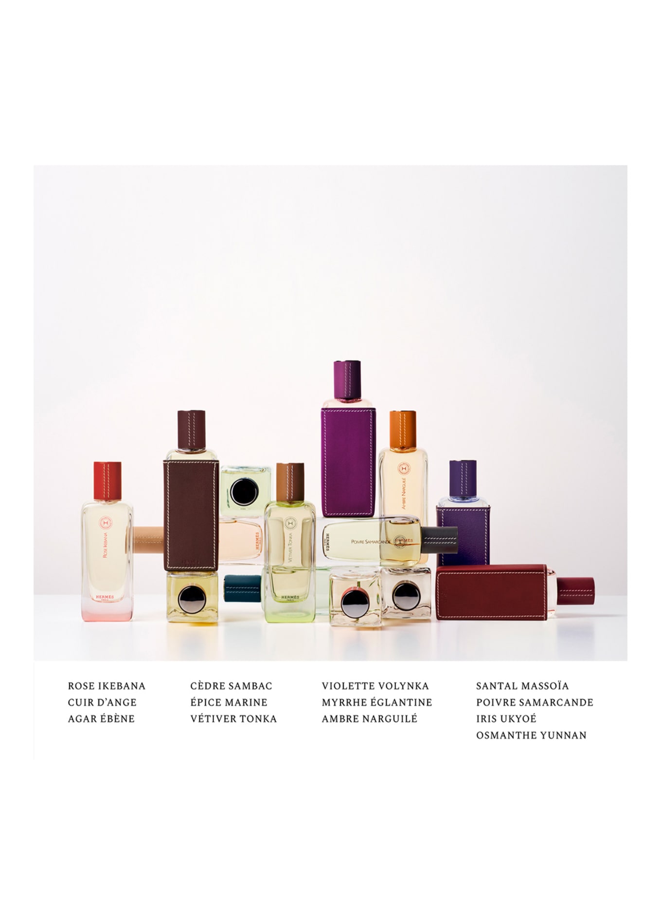 HERMÈS VIOLETTE VOLYNKA