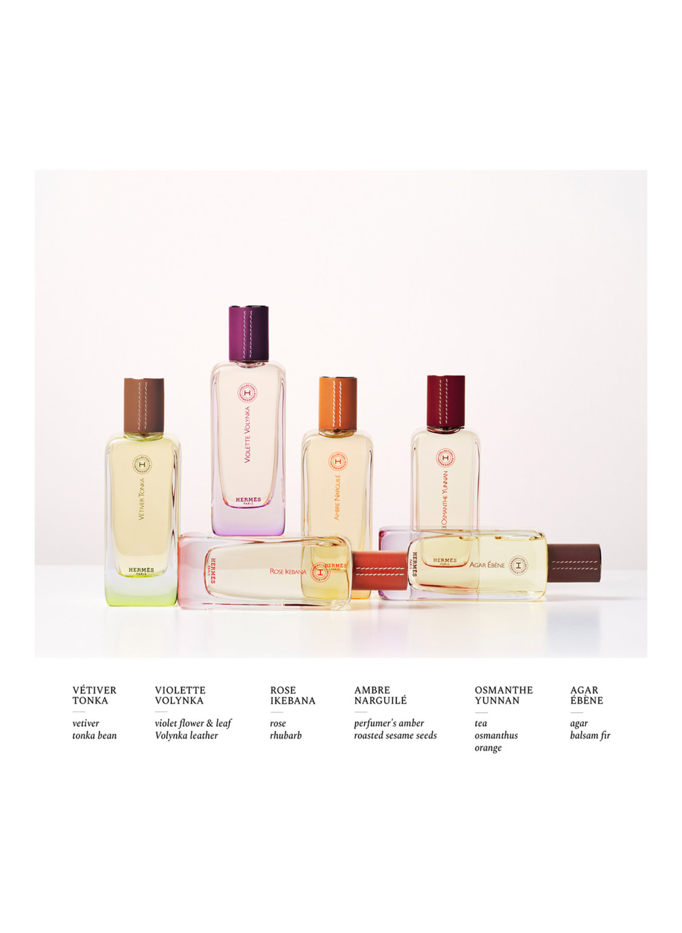 HERMÈS VIOLETTE VOLYNKA