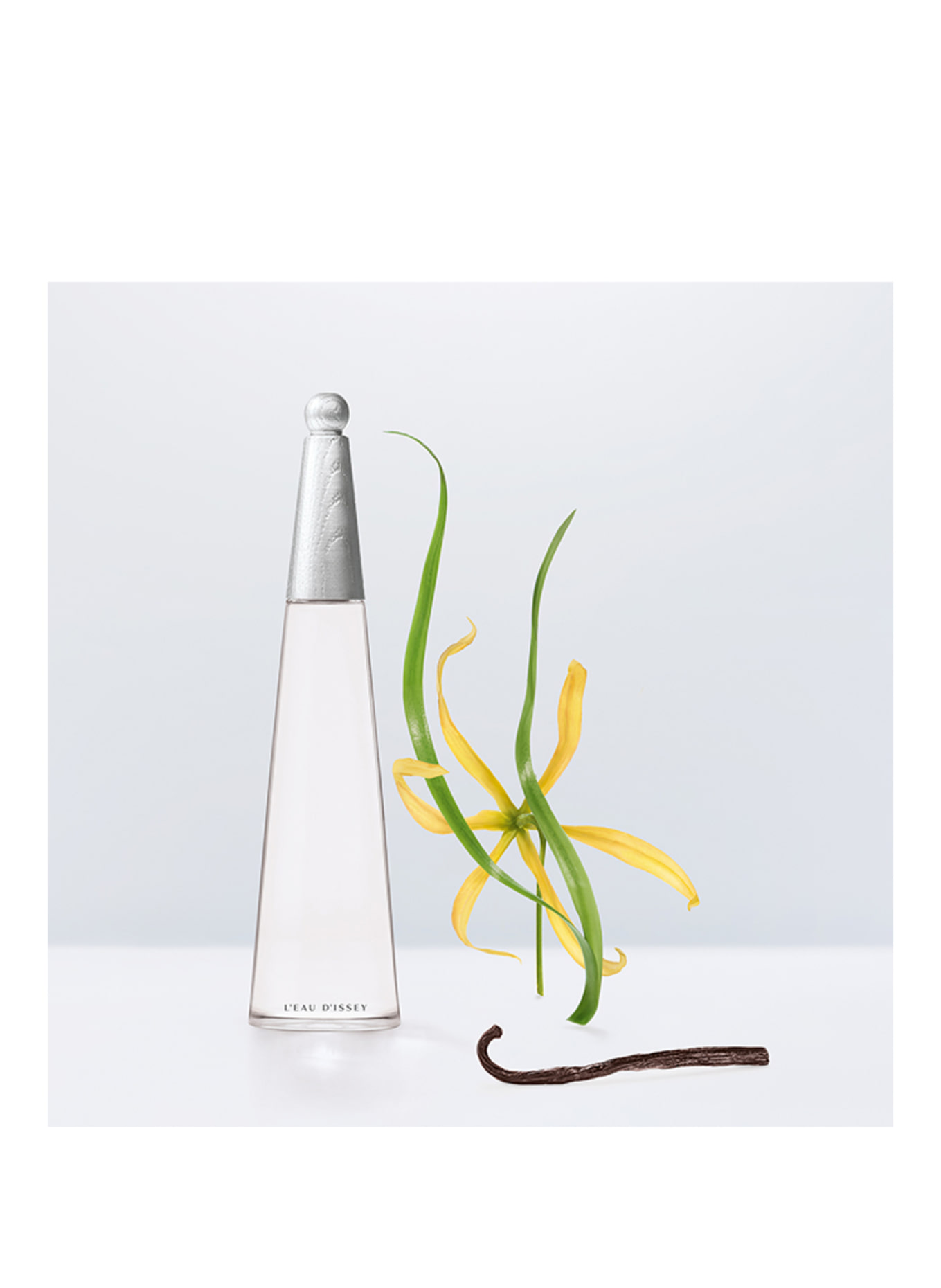 ISSEY MIYAKE L'EAU D'ISSEY NAVULLBAAR