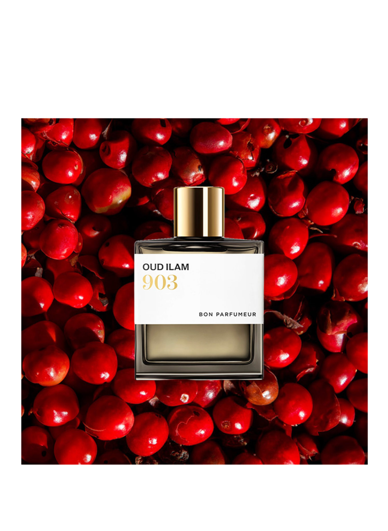 BON PARFUMEUR 903 OUD ILAM