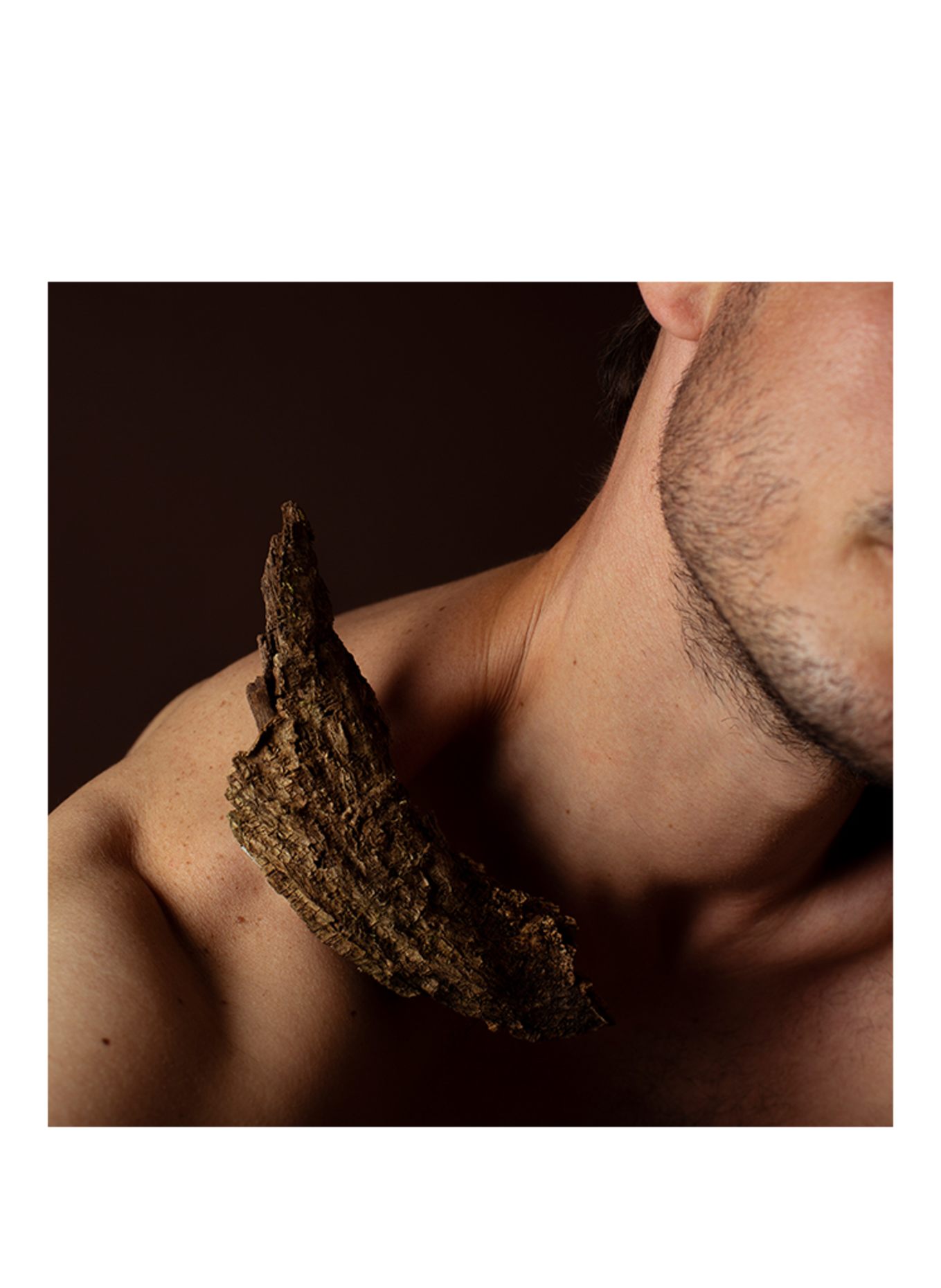 Maison Crivelli BOIS DATCHAI