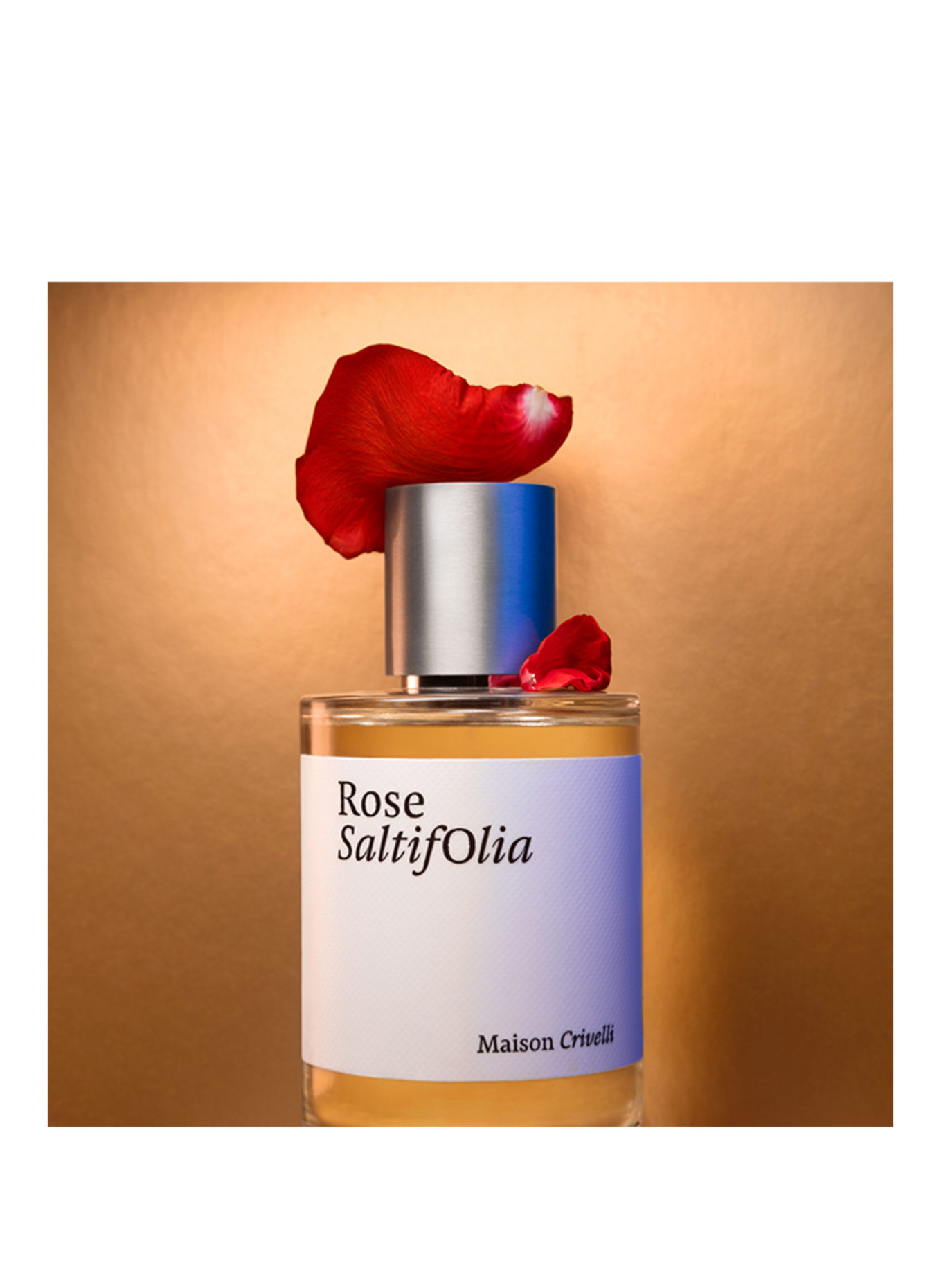Maison Crivelli（メゾンクリヴェリ）Rose Saltifolia Rose Saltifolia eau de parfum | Maison Crivelli
