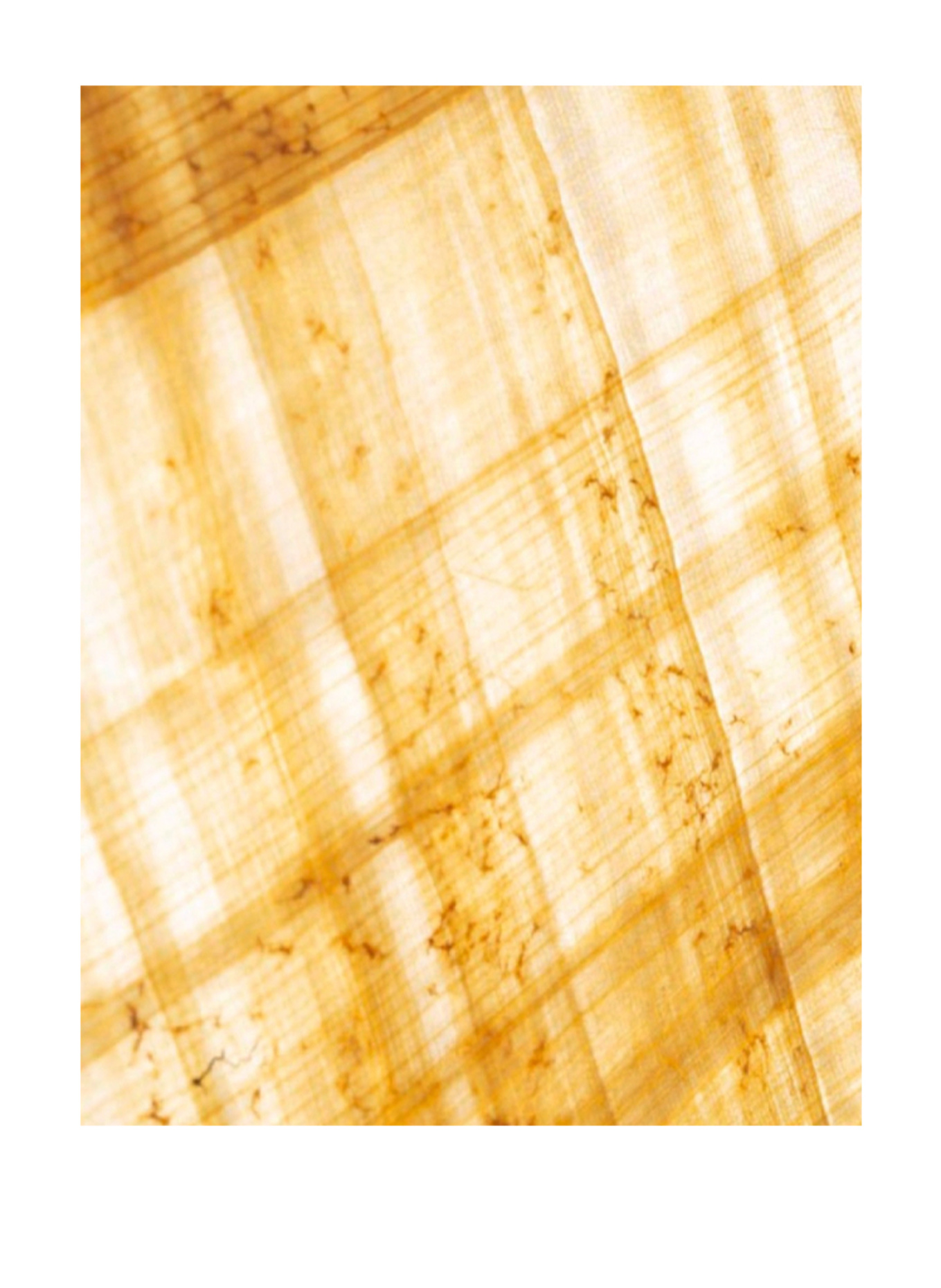 Maison Crivelli PAPYRUS MOLECULAIRE