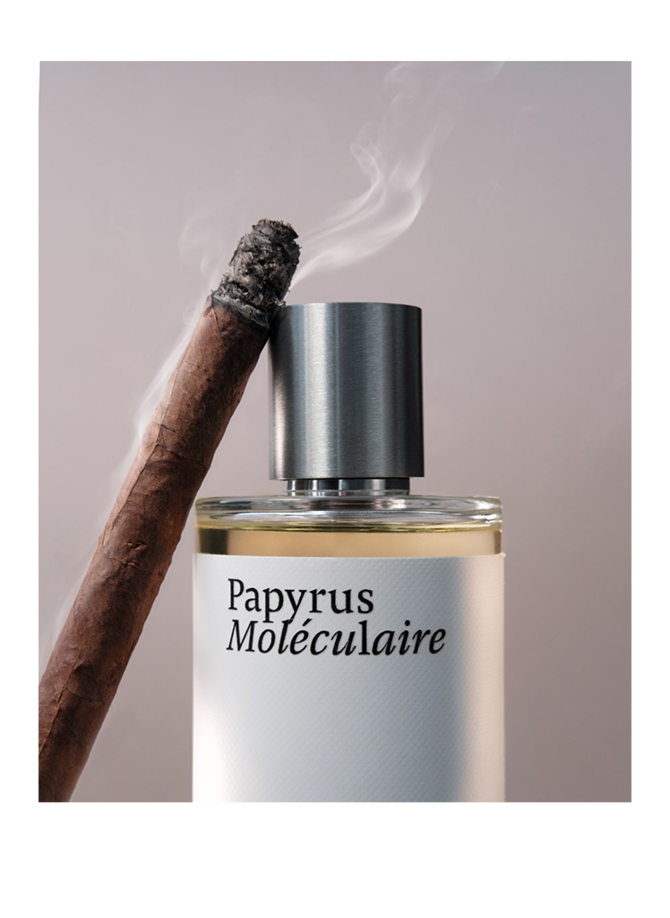 Maison Crivelli PAPYRUS MOLECULAIRE