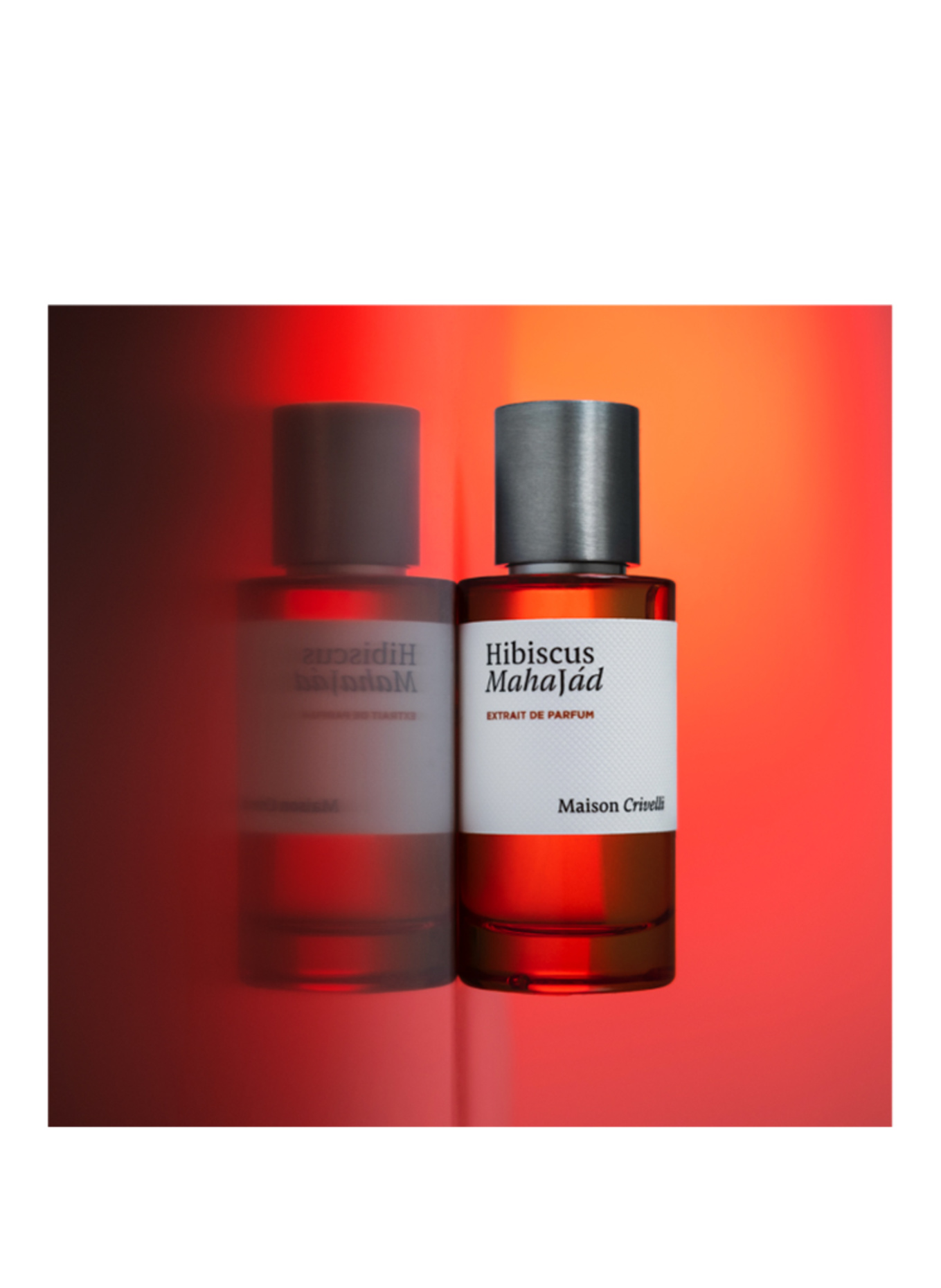 Maison Crivelli  HIBISCUS MAHAJAD
