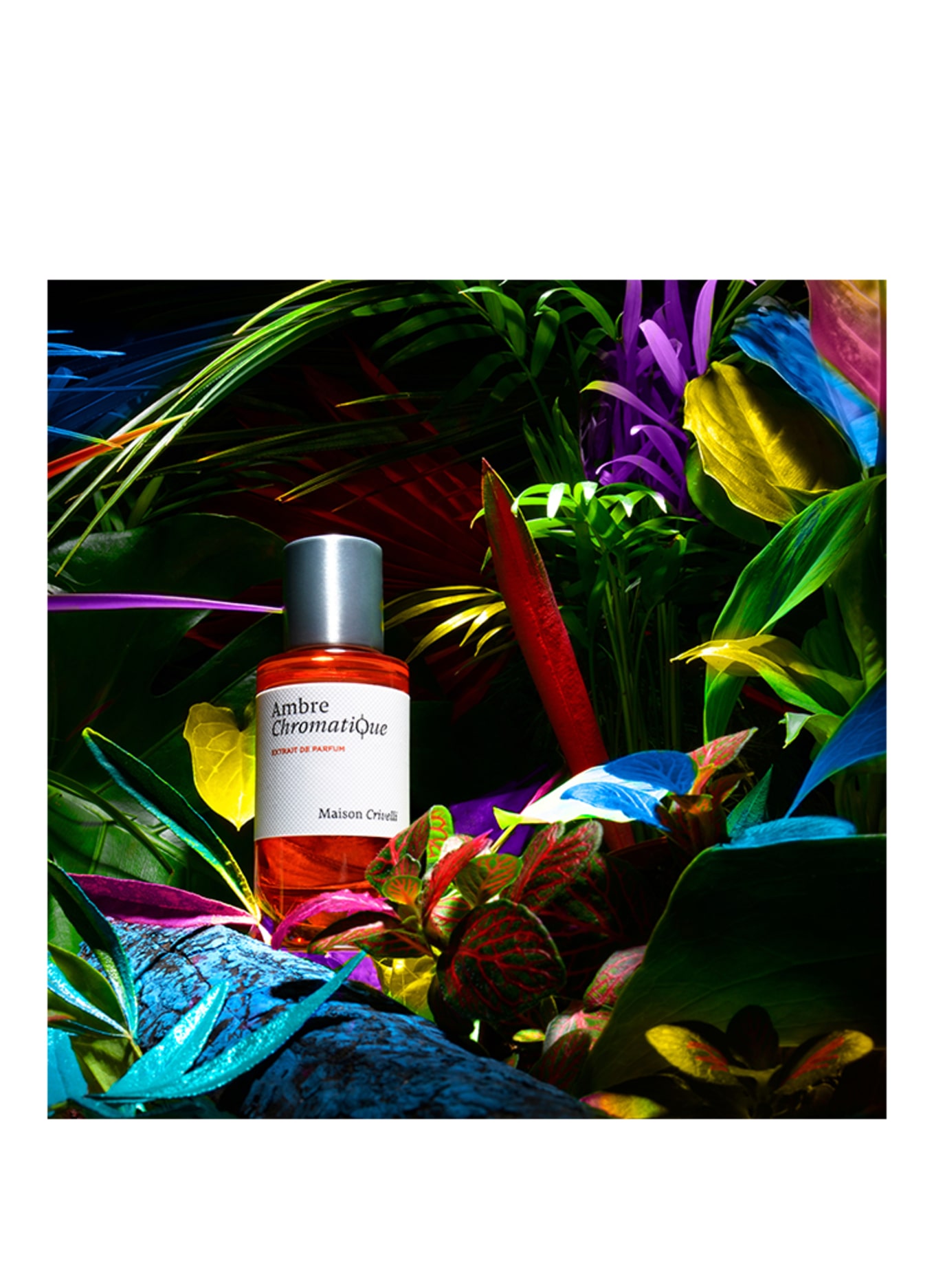 Maison Crivelli AMBRE CROMATIQUE