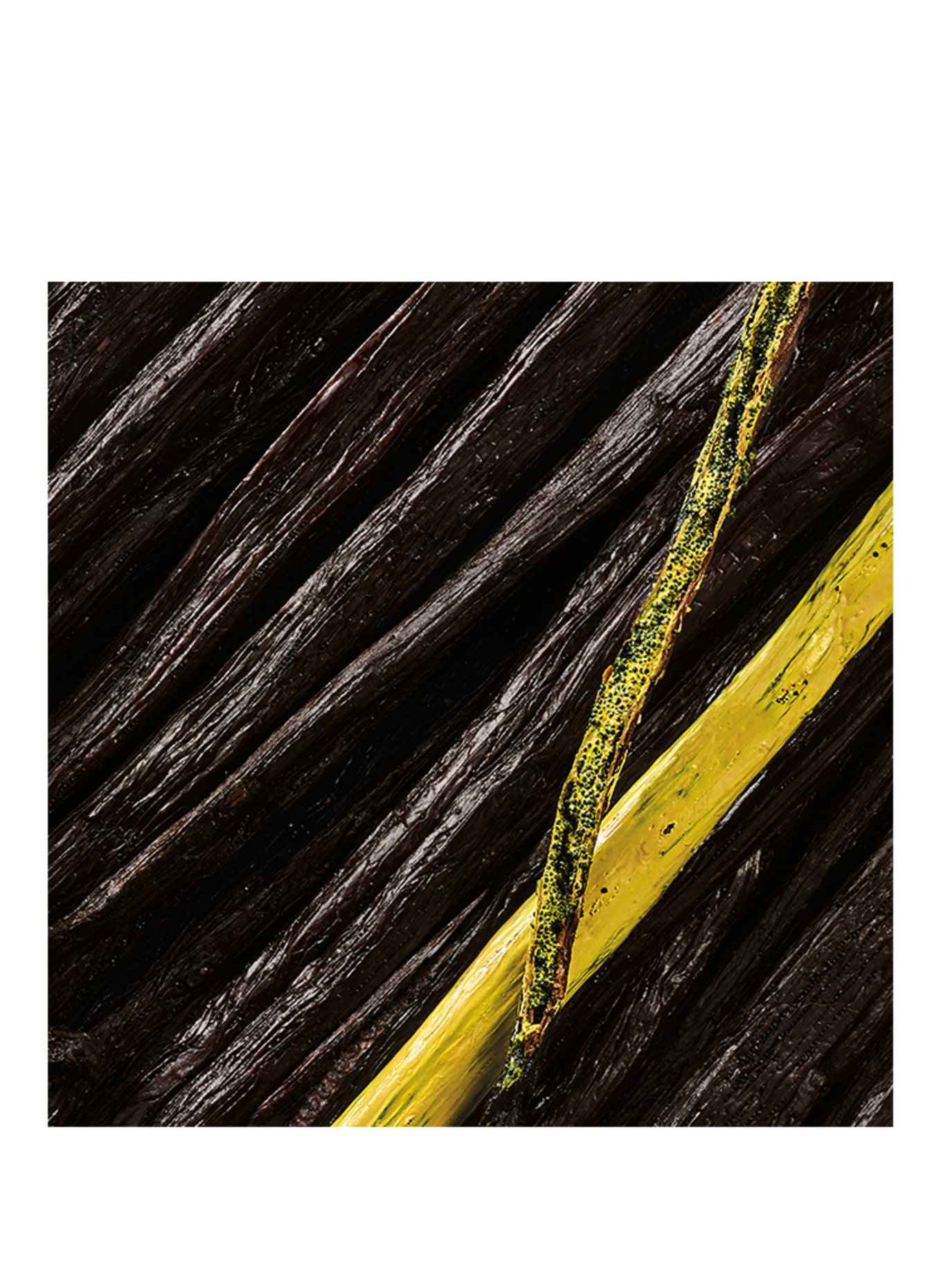 Maison Crivelli AMBRE CROMATIQUE