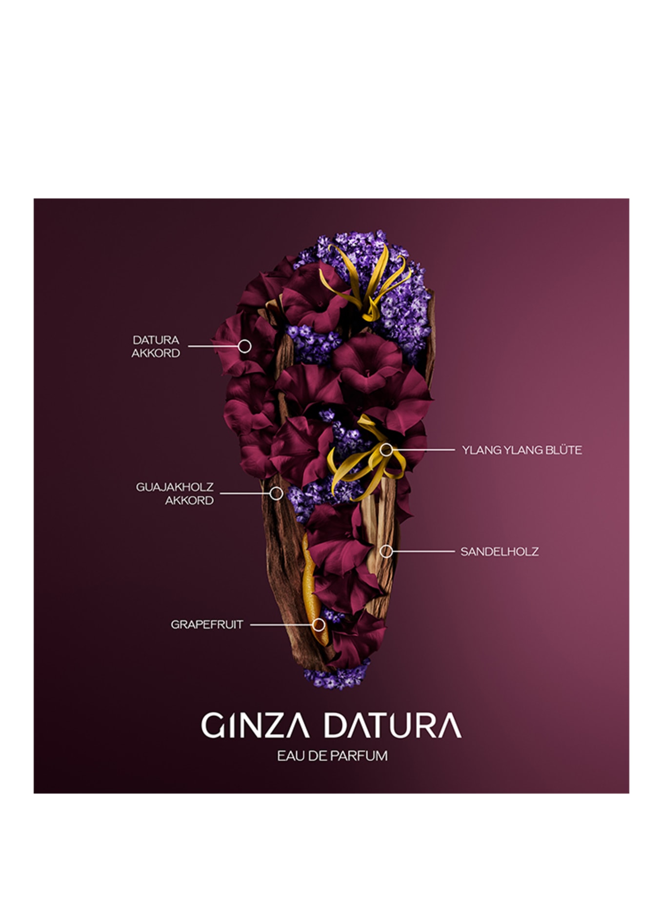SHISEIDO GINZA DATURA