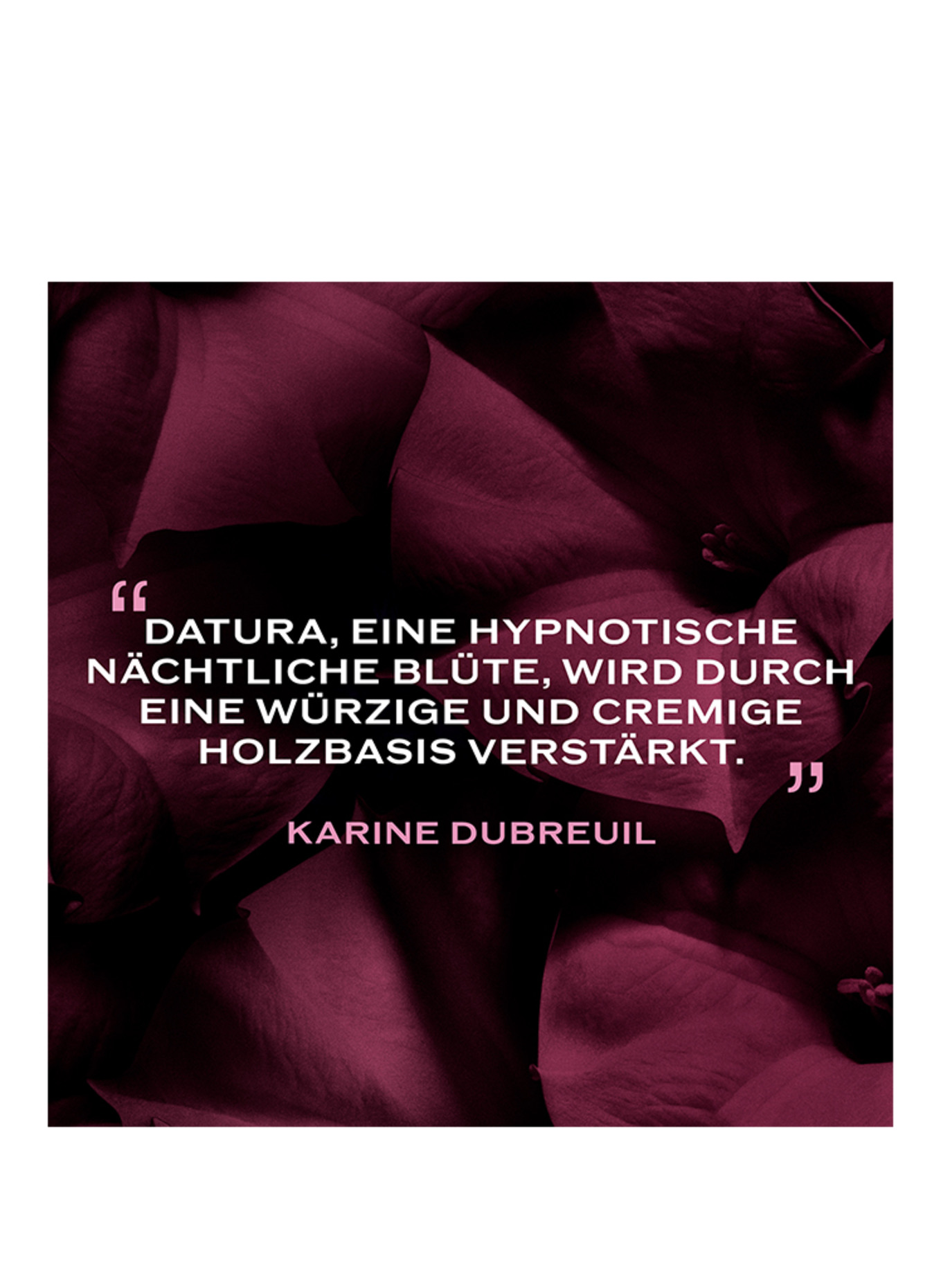 SHISEIDO GINZA DATURA