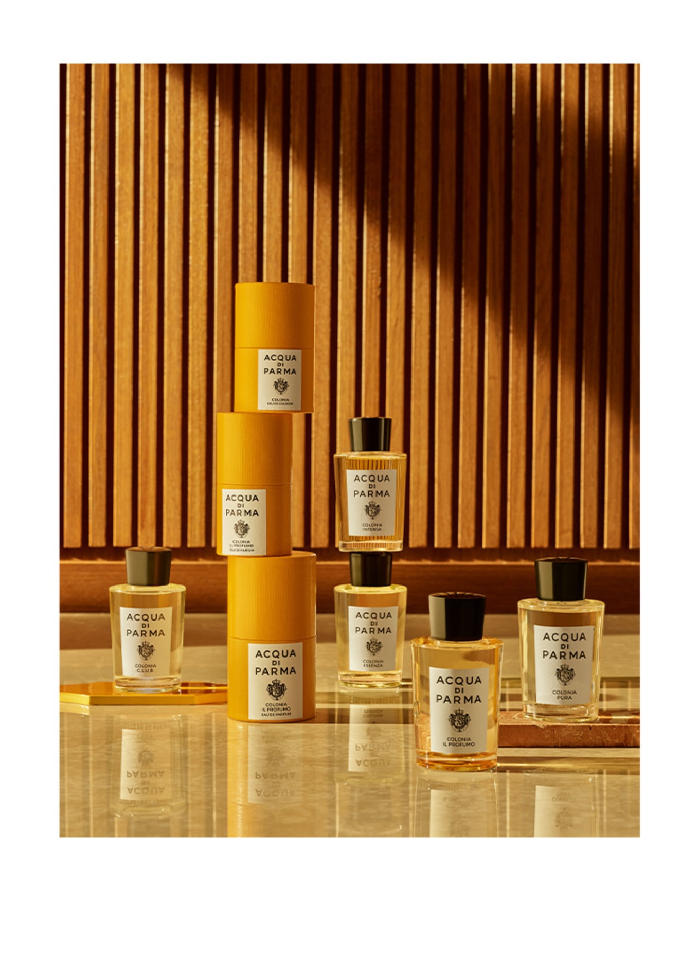 ACQUA DI PARMA COLONIA