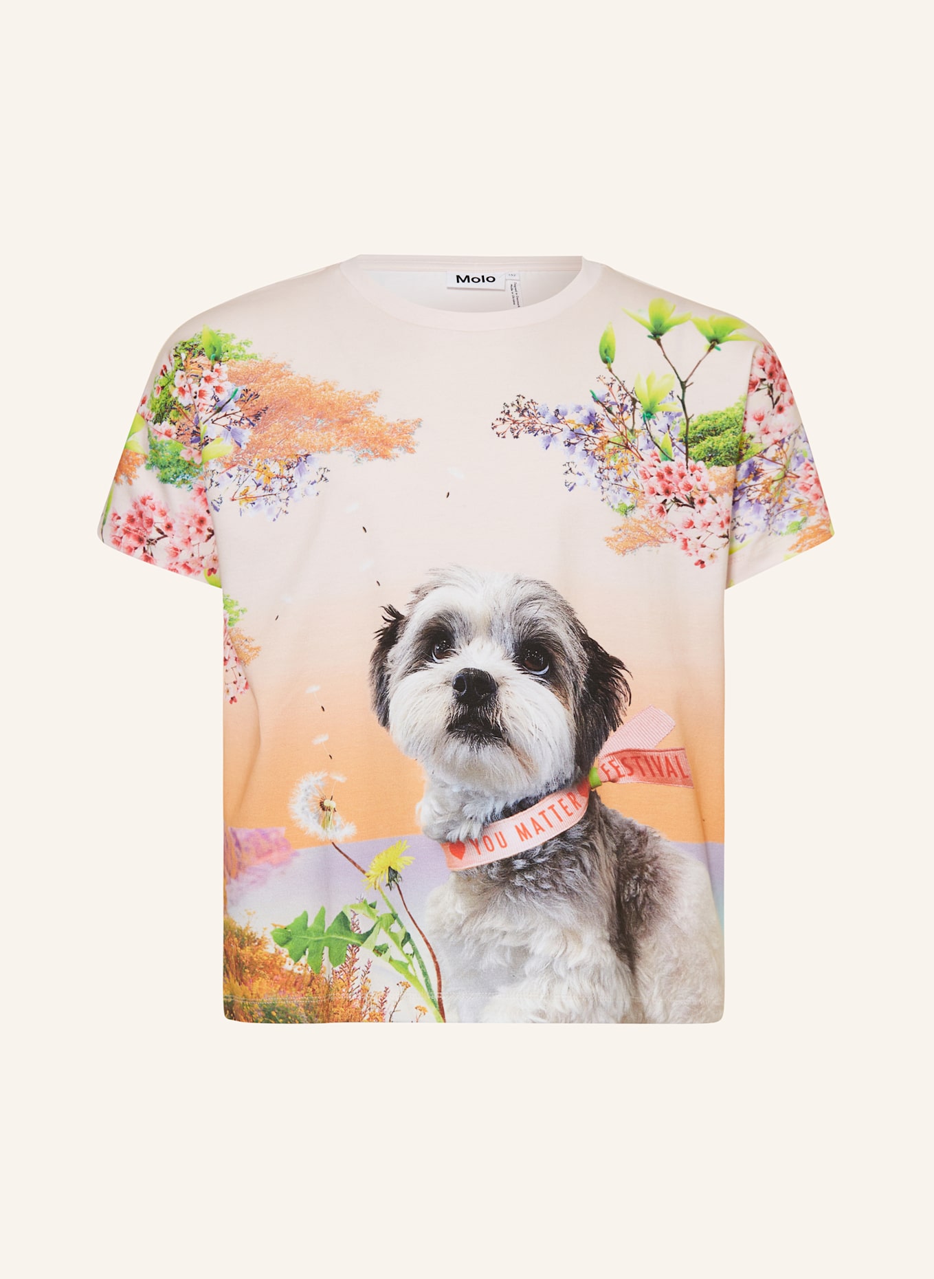 molo Tričko: TMAVĚ ORANŽOVÁ / SVĚTLE FIALOVÁ / SVĚTLE ZELENÁ