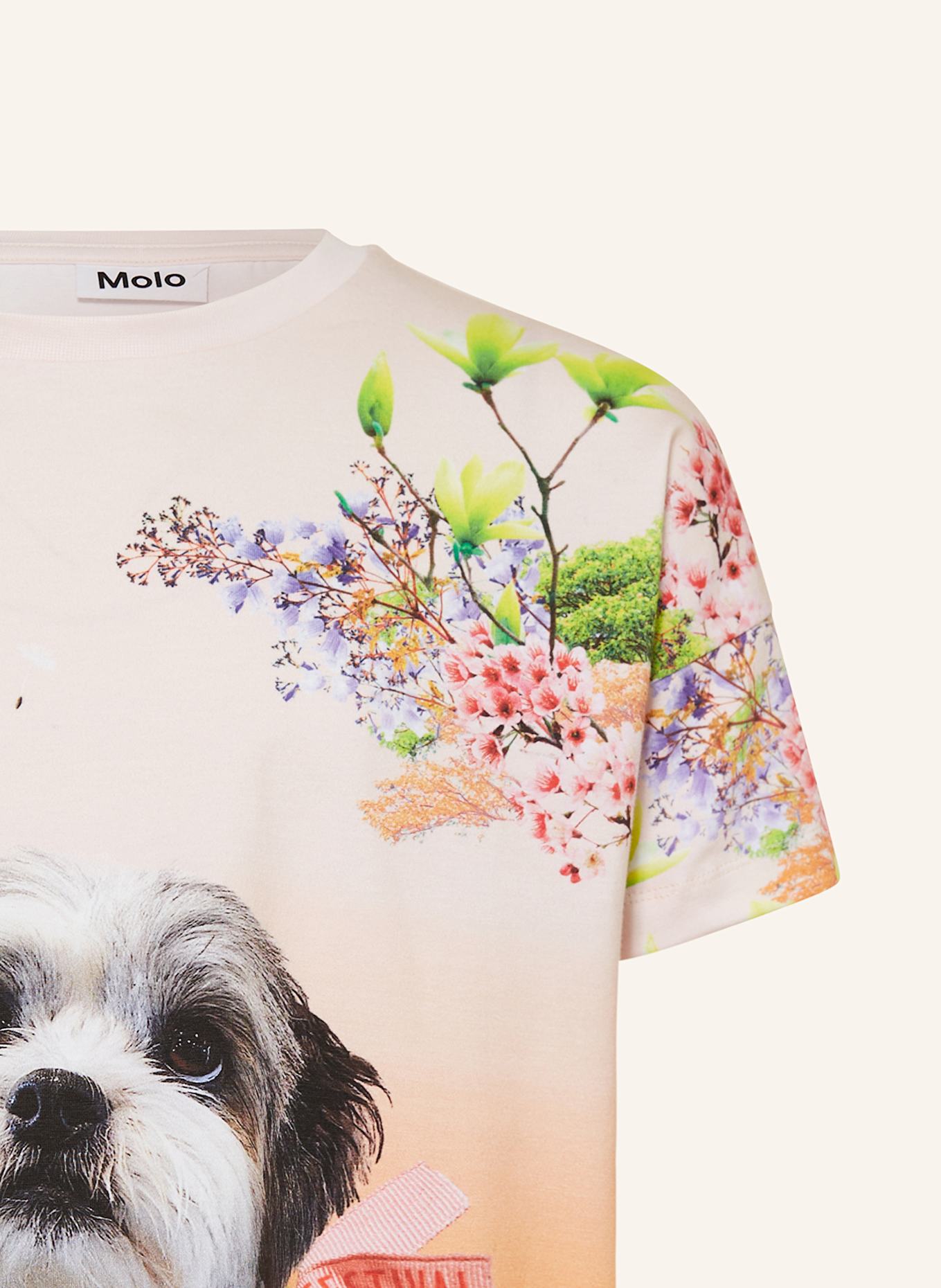 molo Tričko: TMAVĚ ORANŽOVÁ / SVĚTLE FIALOVÁ / SVĚTLE ZELENÁ