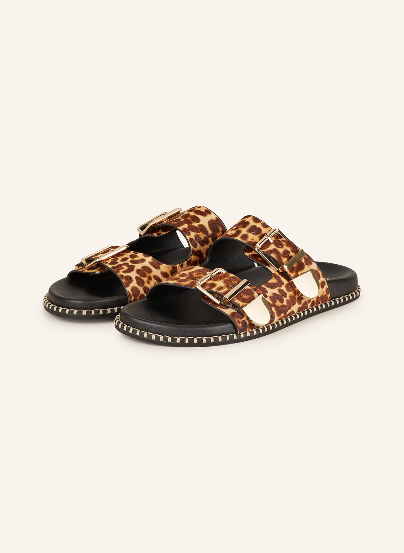 Toral HIDRA slides: Help to shape Cheap Erlebnisweltfliegenfischen Jordan Outlet