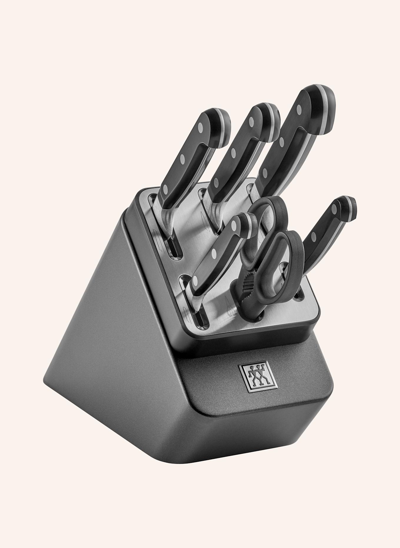 ZWILLING 7-tlg. Messerblock PROFESSIONAL S: SCHWARZ / SILBER