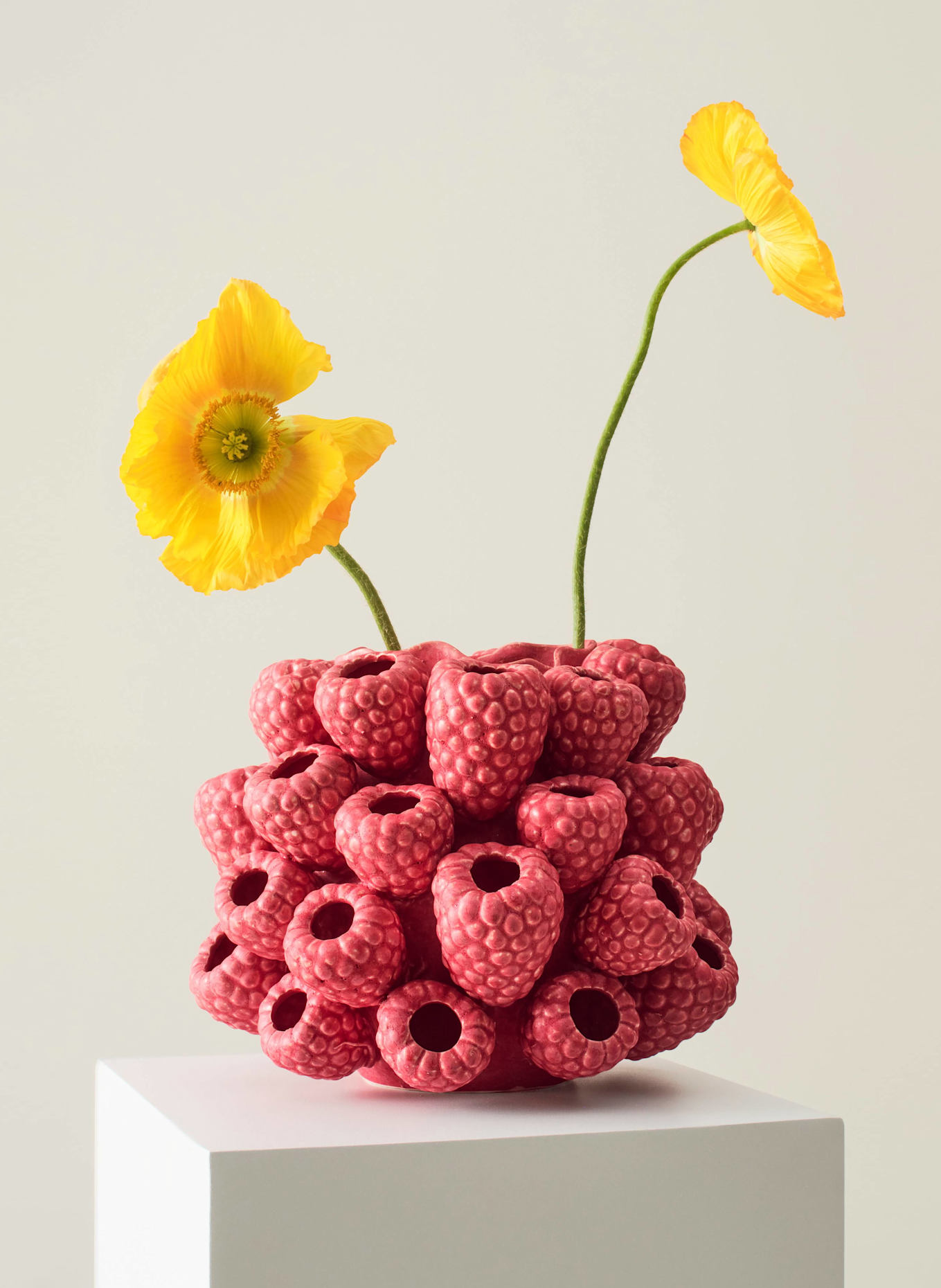 Jotex Vaas RASPBERRY: ROOD