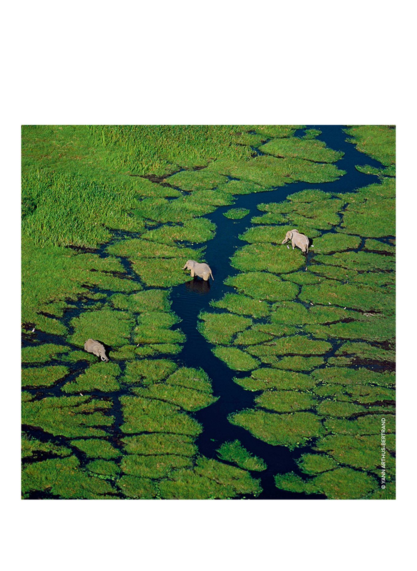 GUERLAIN AQUA ALLEGORIA ROSA ROSSA