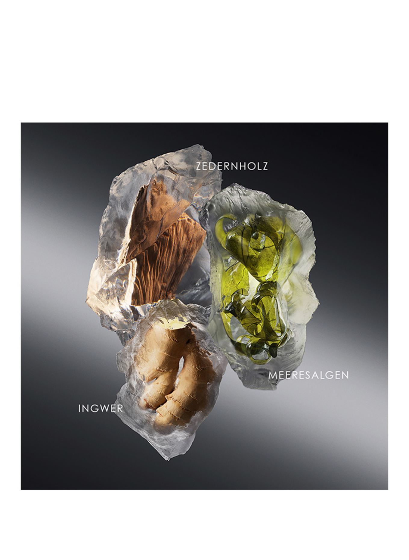 ISSEY MIYAKE LE SEL D'ISSEY