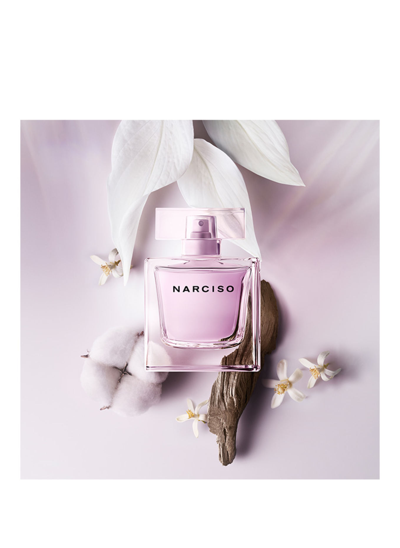 narciso rodriguez RADIANTE