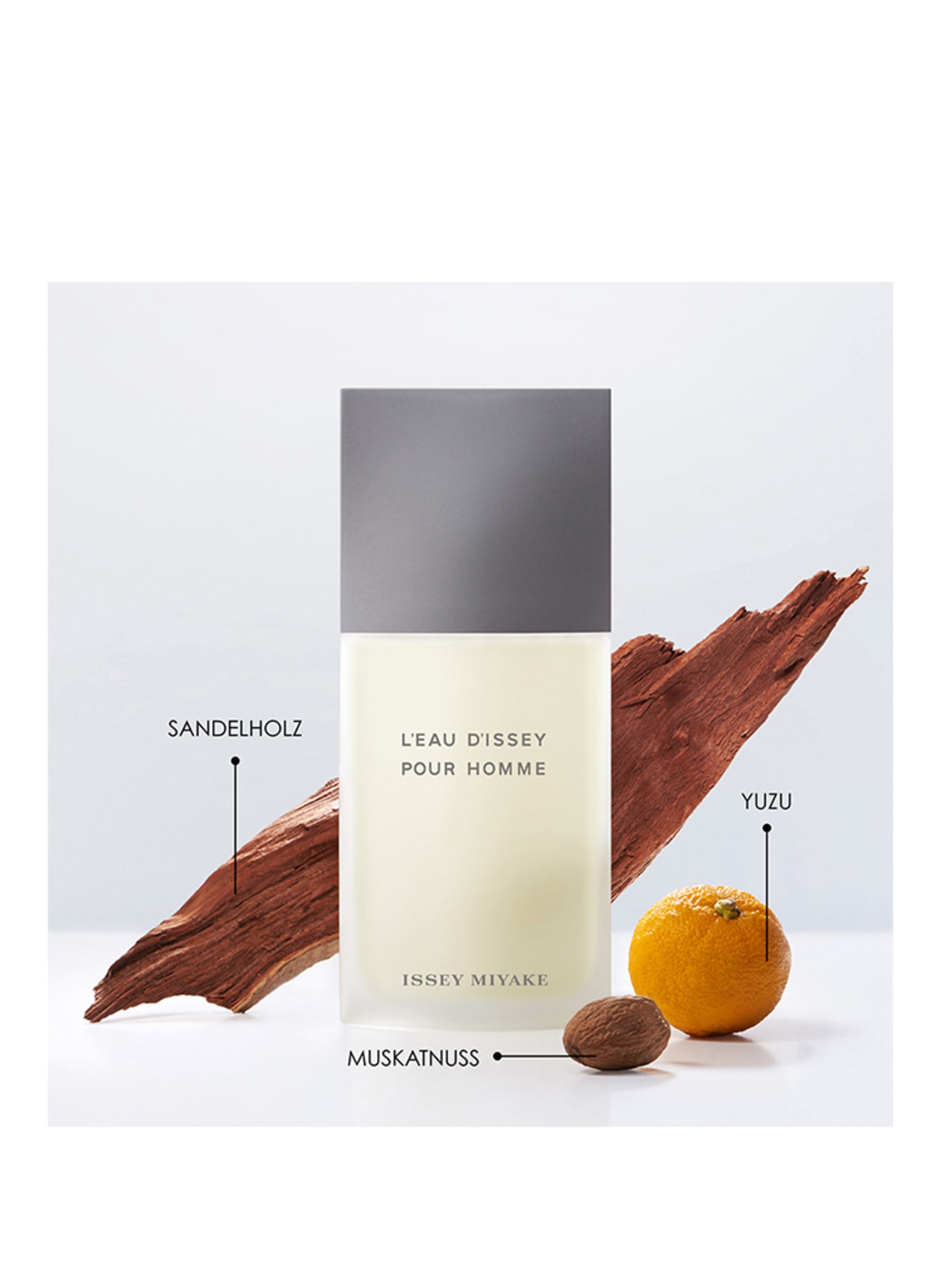 ISSEY MIYAKE L'EAU D'ISSEY POUR HOMME