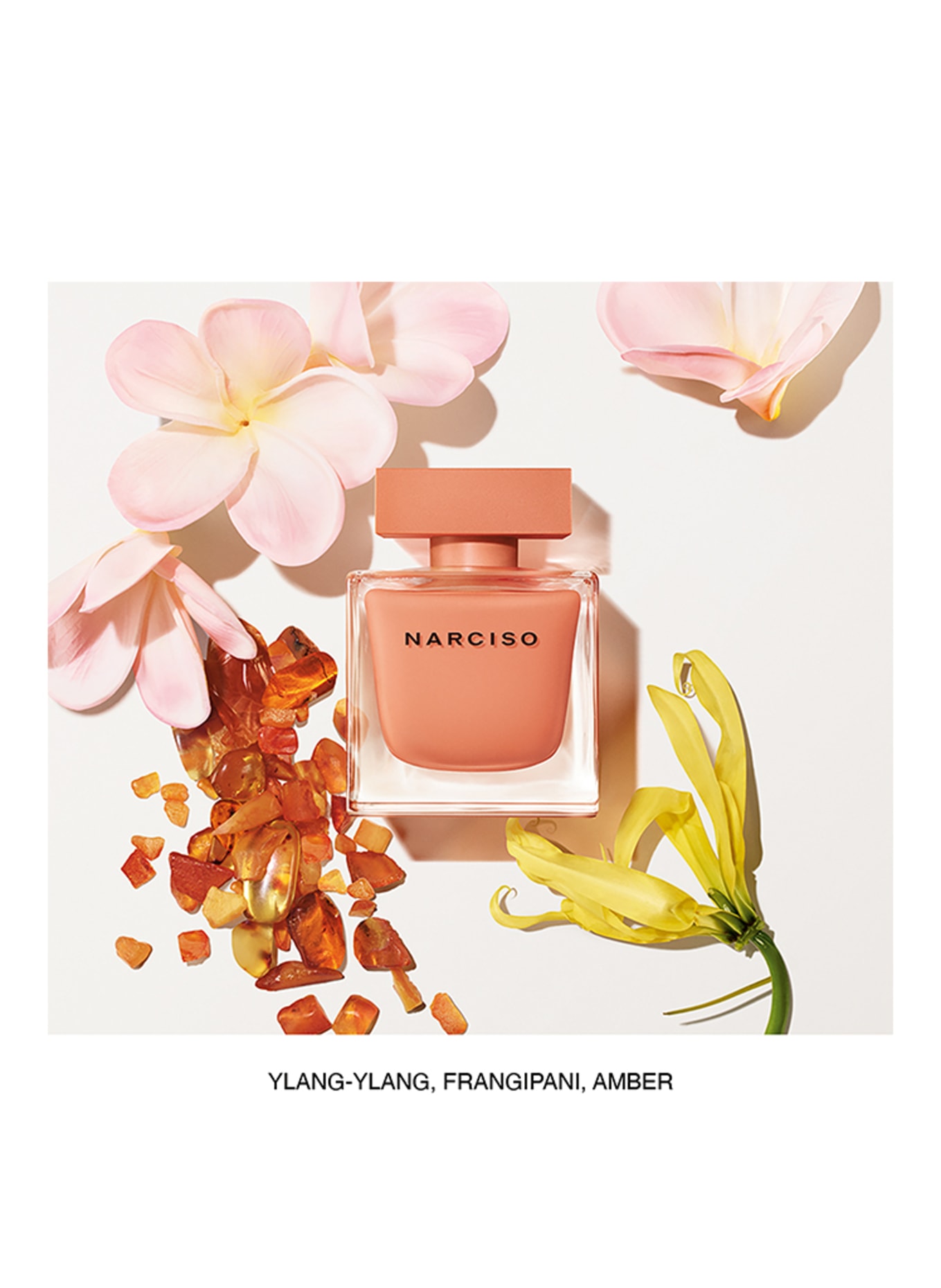 narciso rodriguez NARCISO AMBRÉE