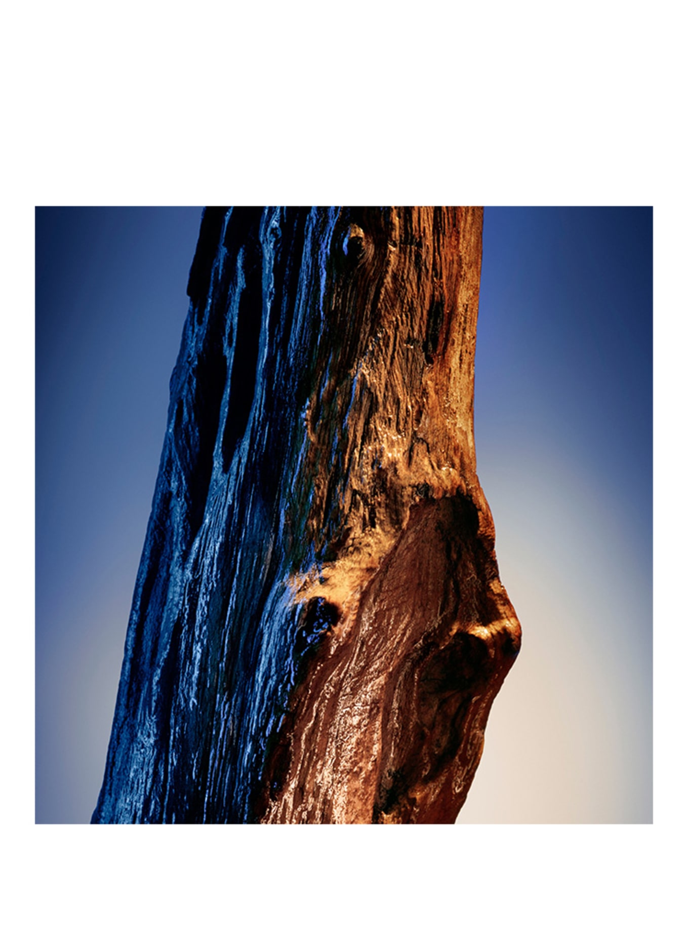 Davidoff COOL ELIXIR