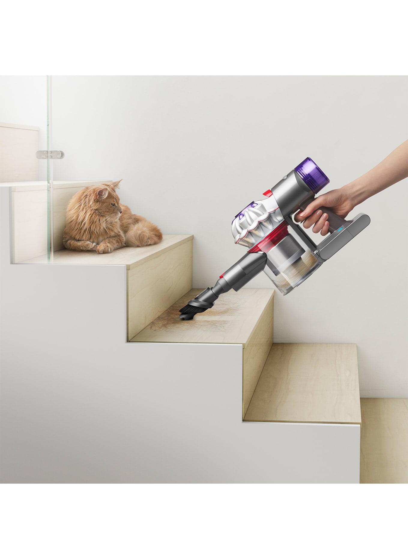 dyson CAR & BOAT