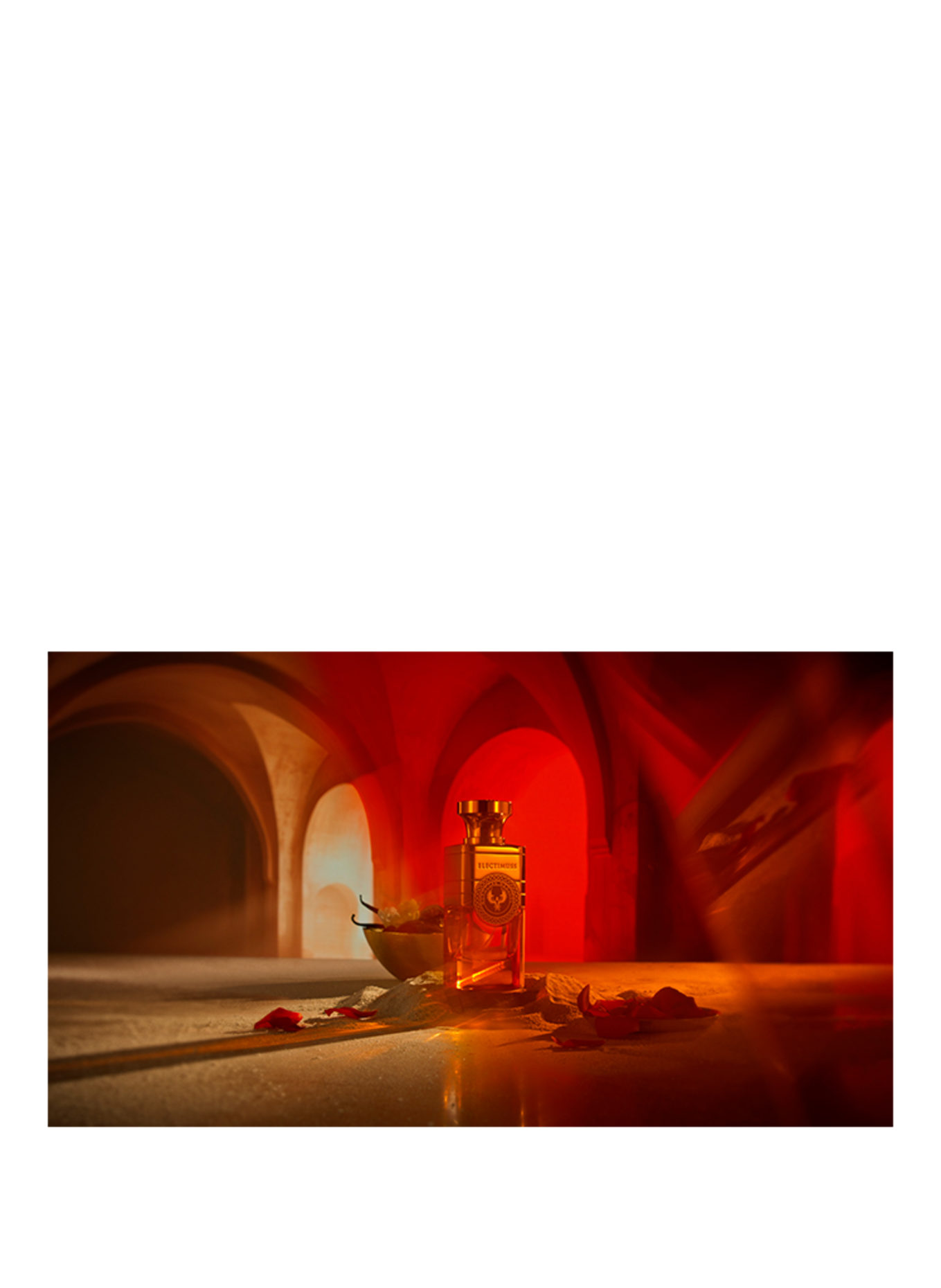 ELECTIMUSS MEDJOOL MAROCAIN