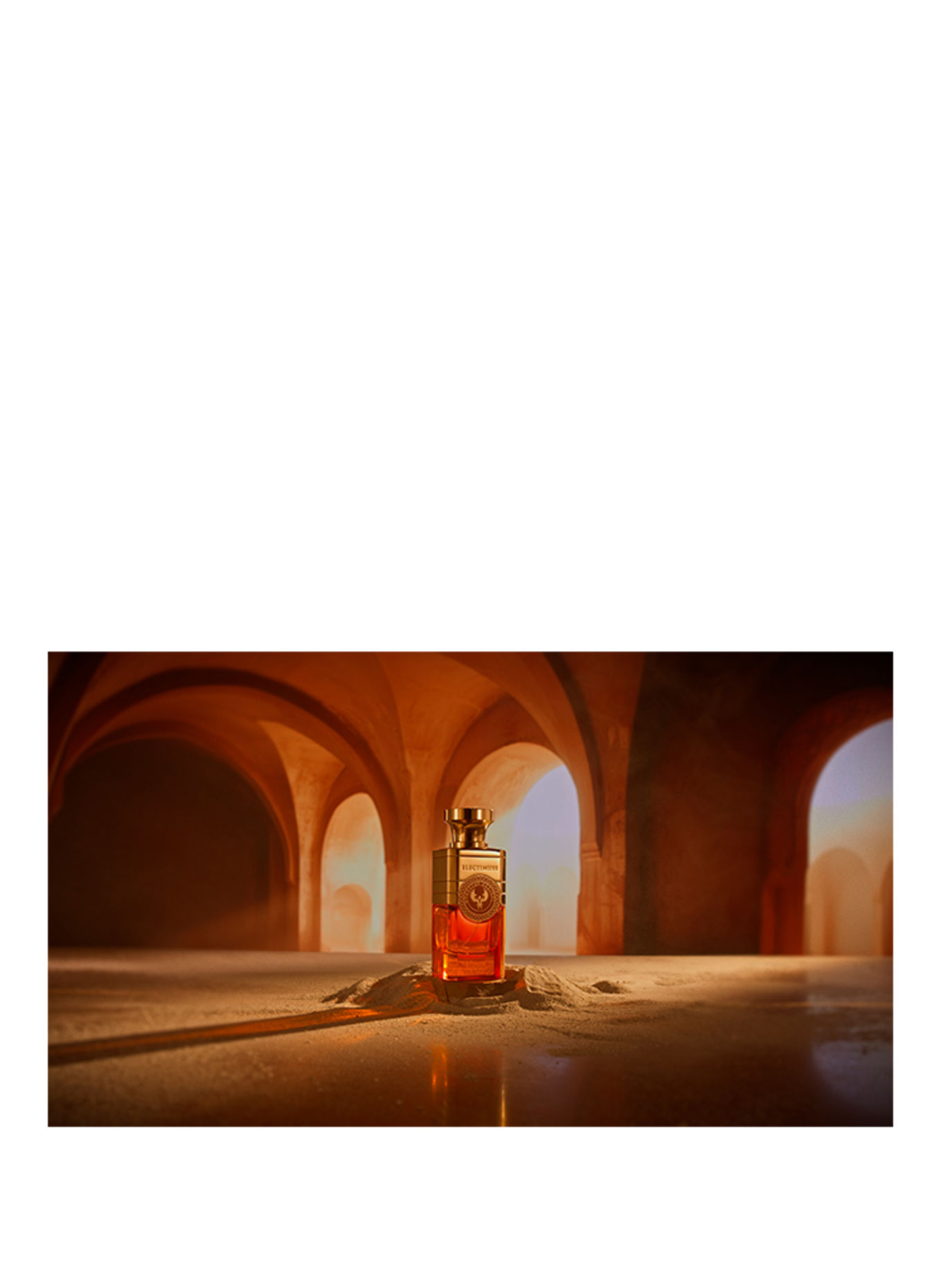 ELECTIMUSS MEDJOOL MAROCAIN