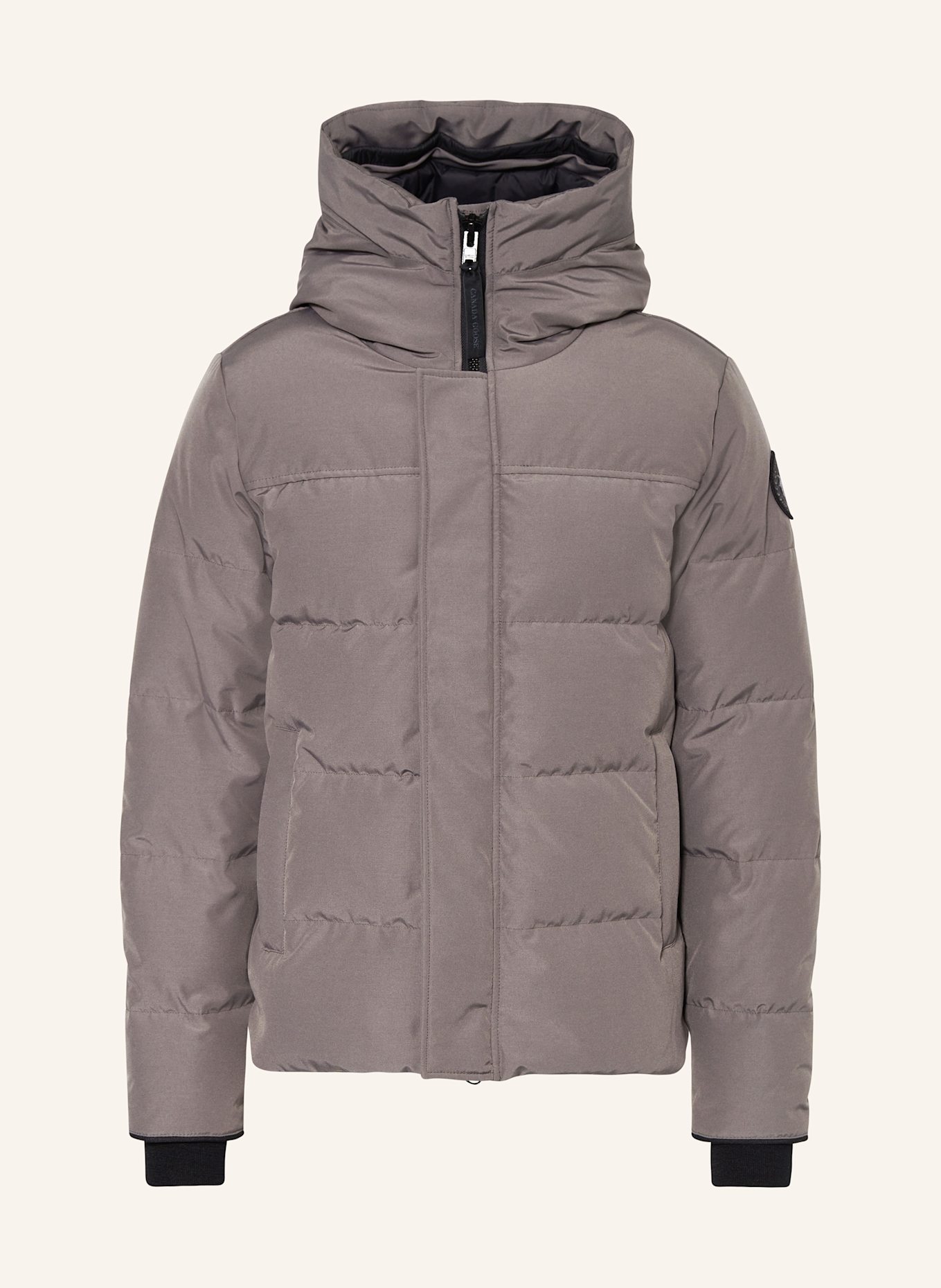 CANADA GOOSE Daunenjacke MACMILLAN: GRAU