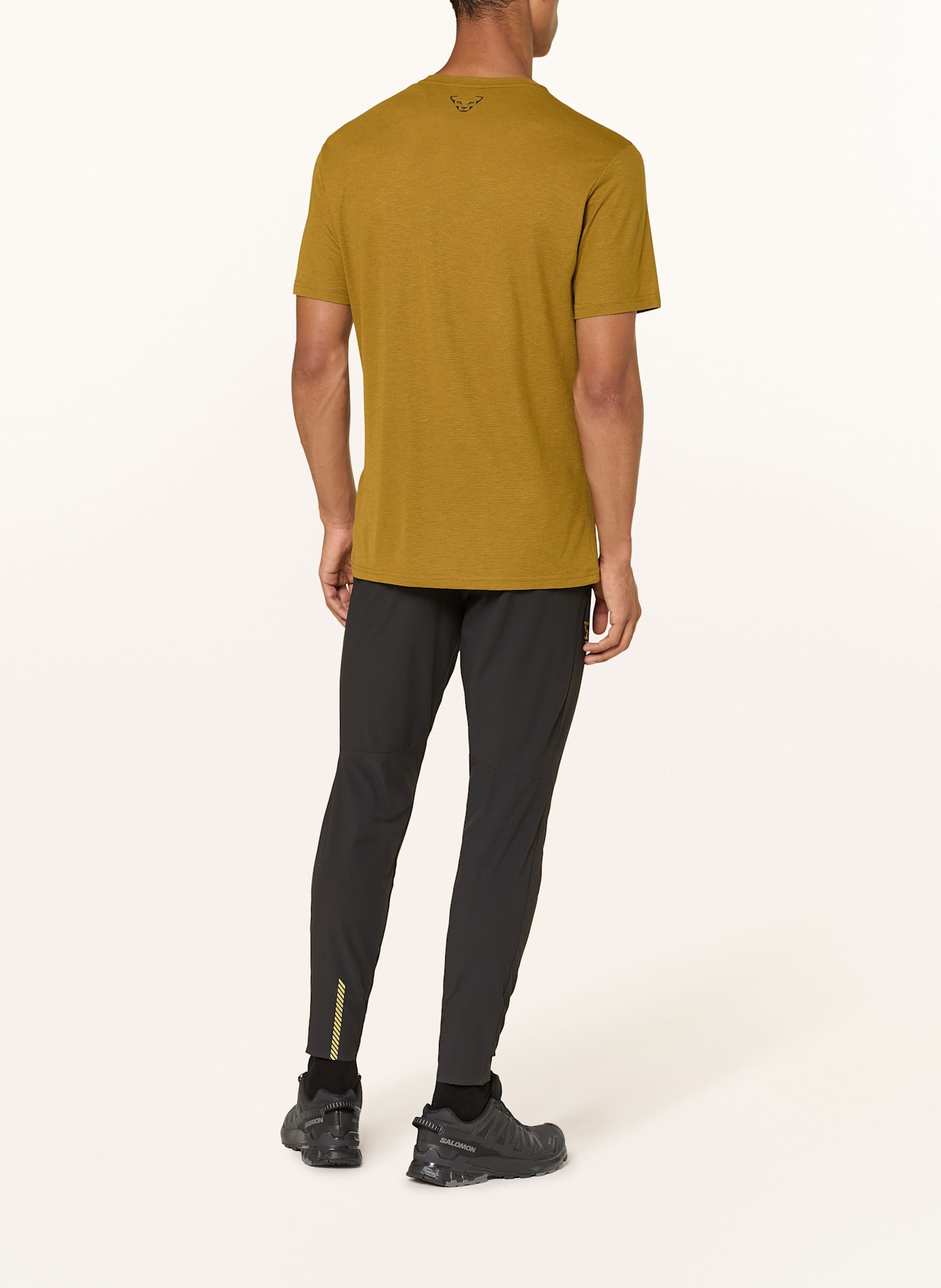 DYNAFIT T-Shirt TRANSALPER GRAPHIC: KHAKI