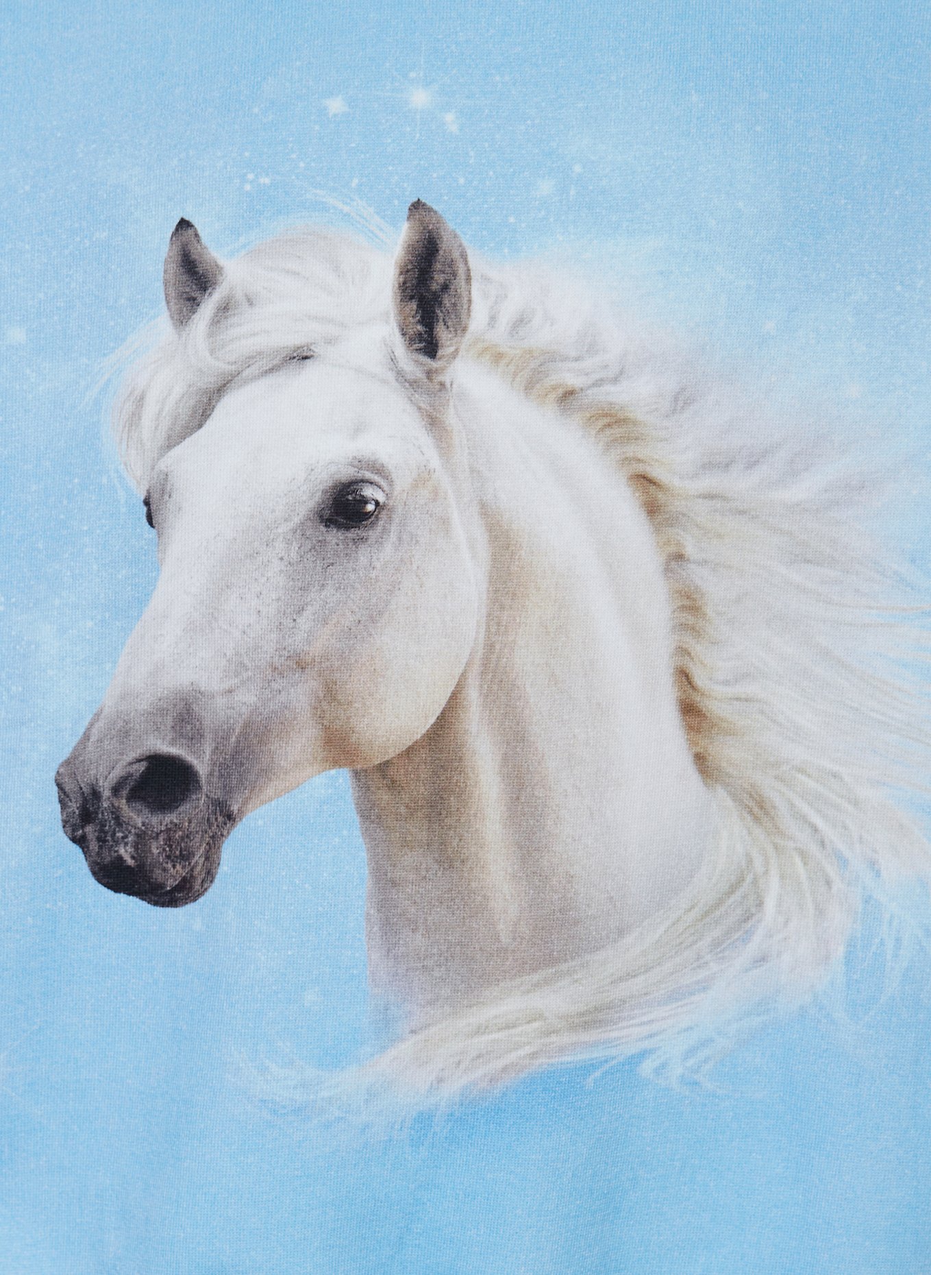 molo Sweatshirt: HELLBLAU