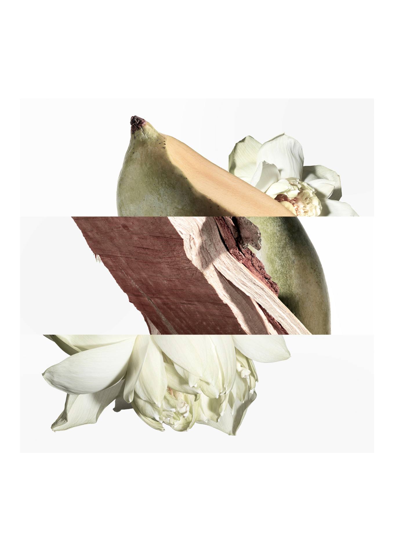 HERMÈS UN JARDIN SUR LE NIL