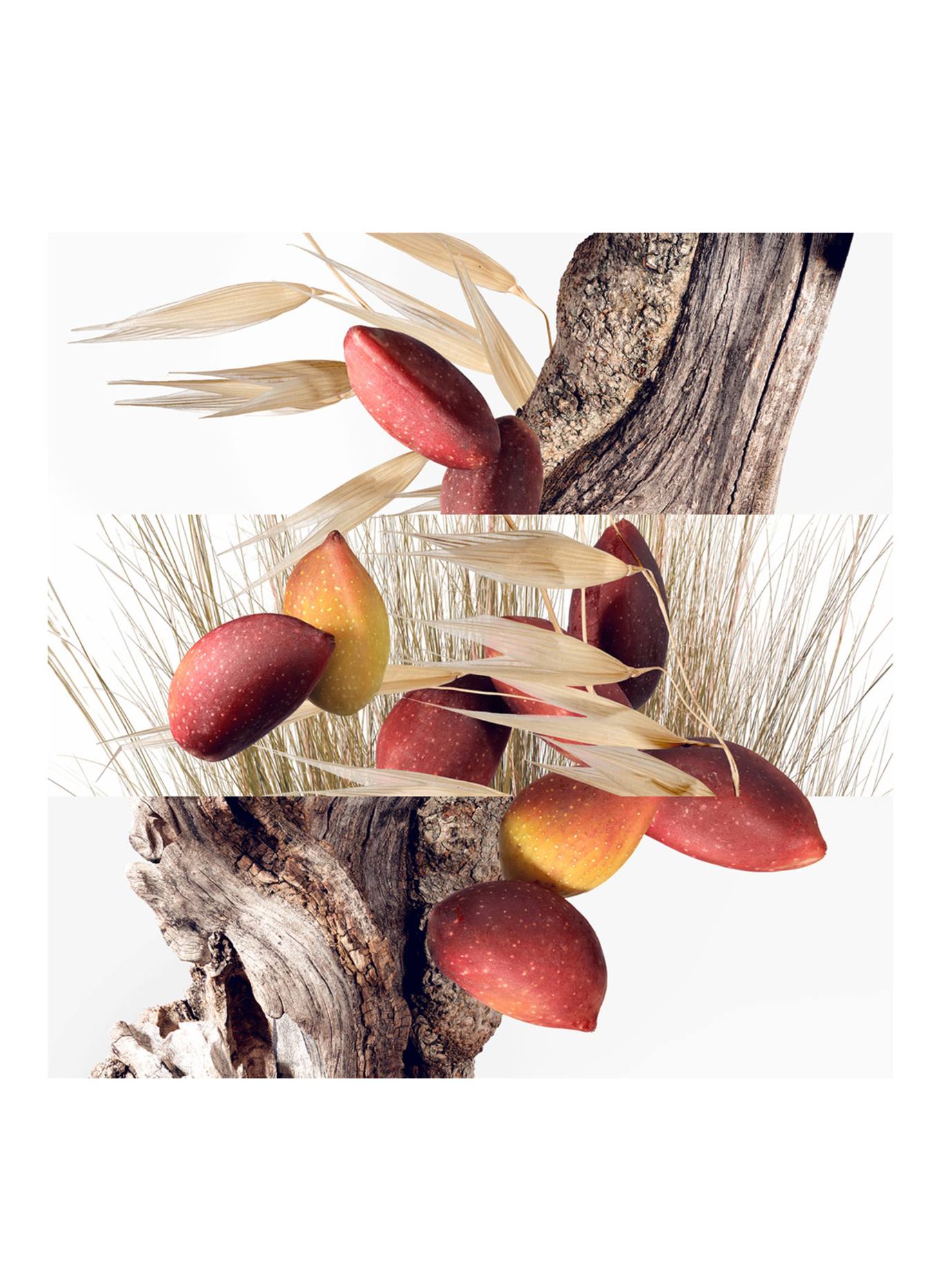 HERMÈS UN JARDIN À CYTHÈRE