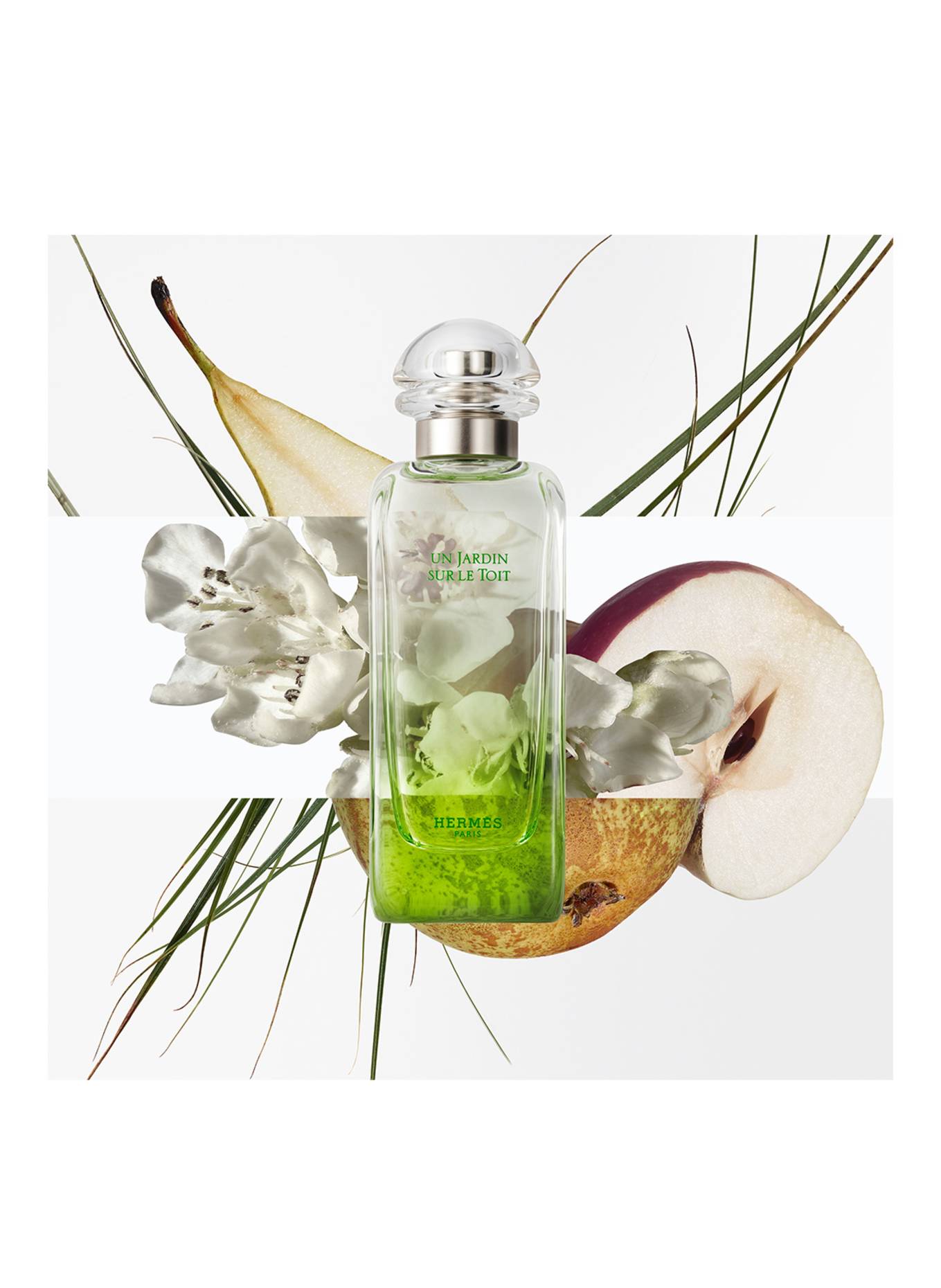 HERMÈS UN JARDIN SUR LE TOIT