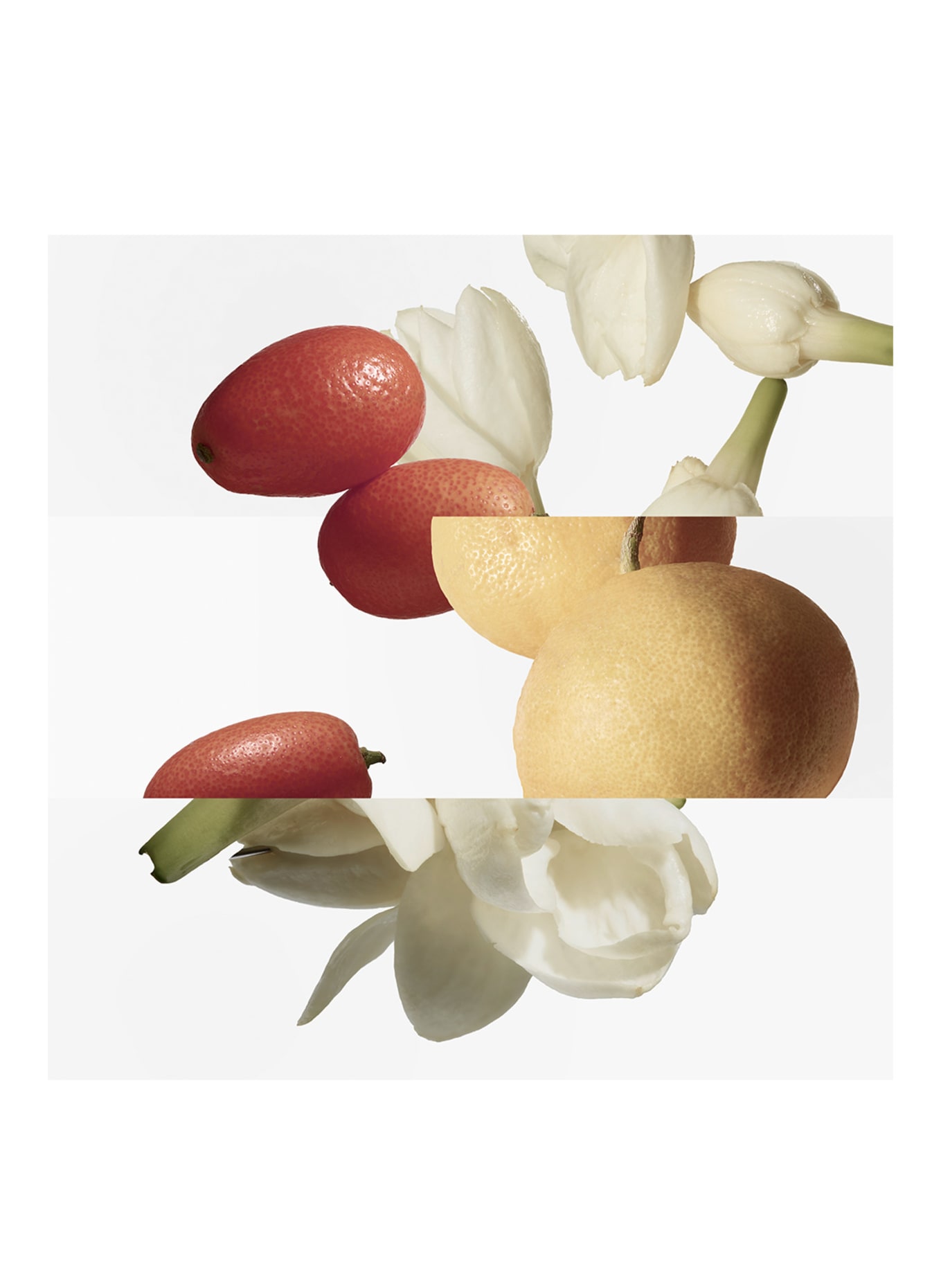 HERMÈS LE JARDIN DE MONSIEUR LI