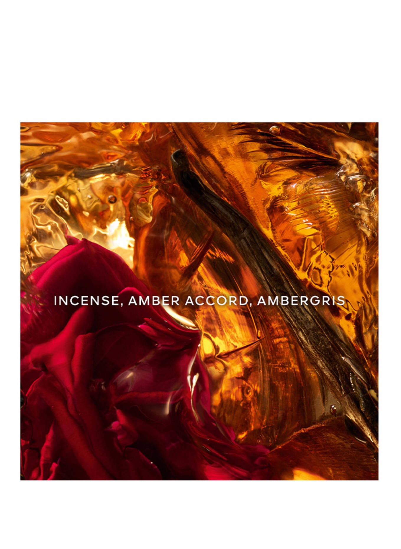 GUERLAIN ABSOLUS ALLEGORIA AMBRE SAMAR