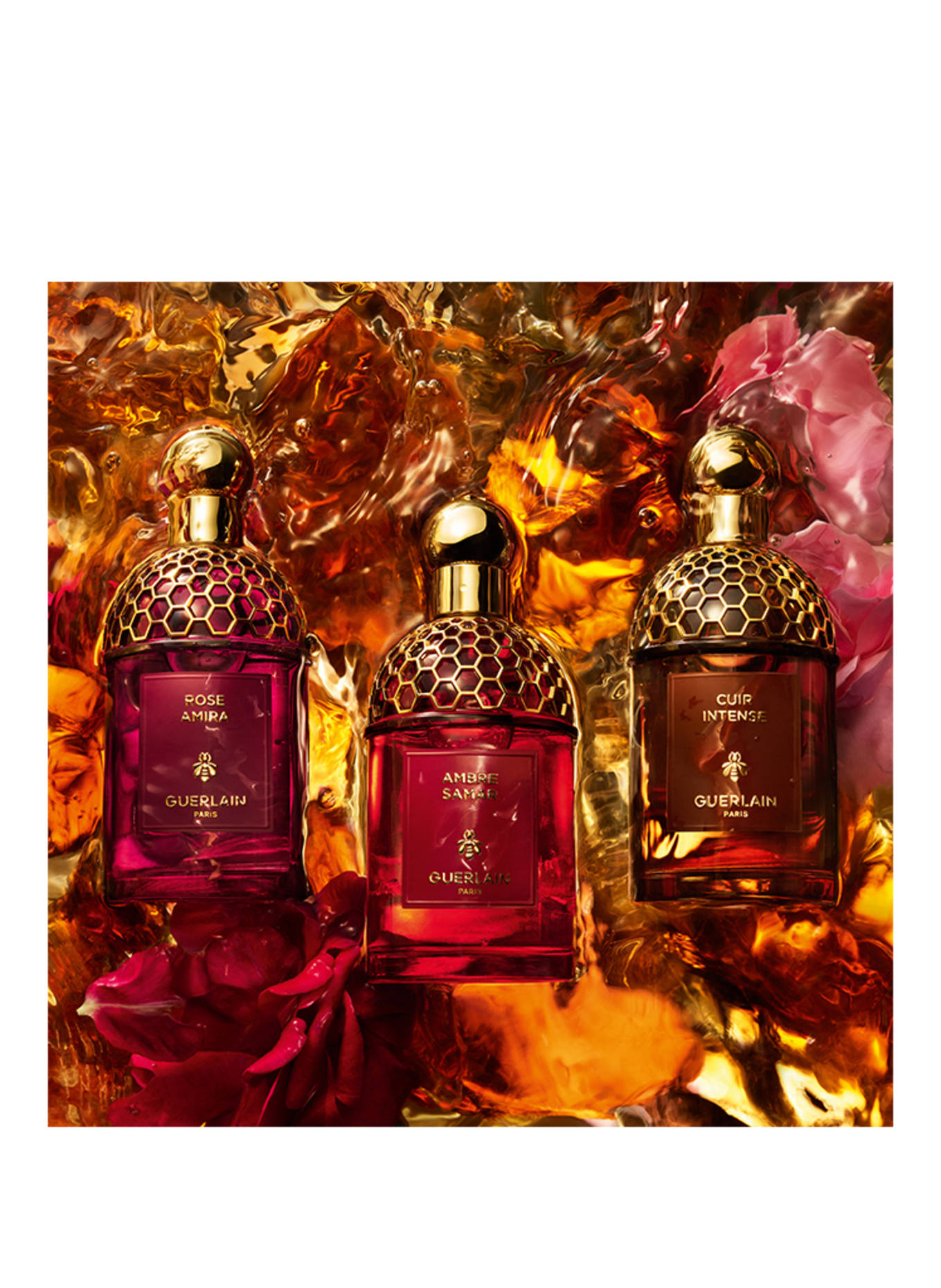 GUERLAIN ABSOLUS ALLEGORIA AMBRE SAMAR