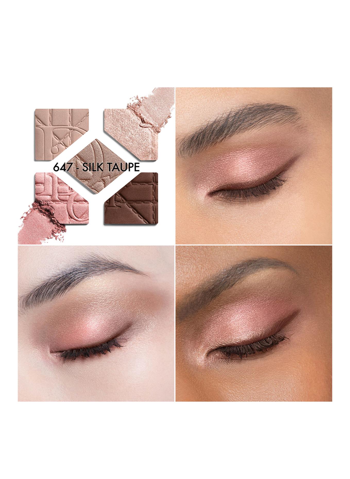 DIOR DIORSHOW 5 COULEURS - LIMITIERTE EDITION: 647 SILK TAUPE