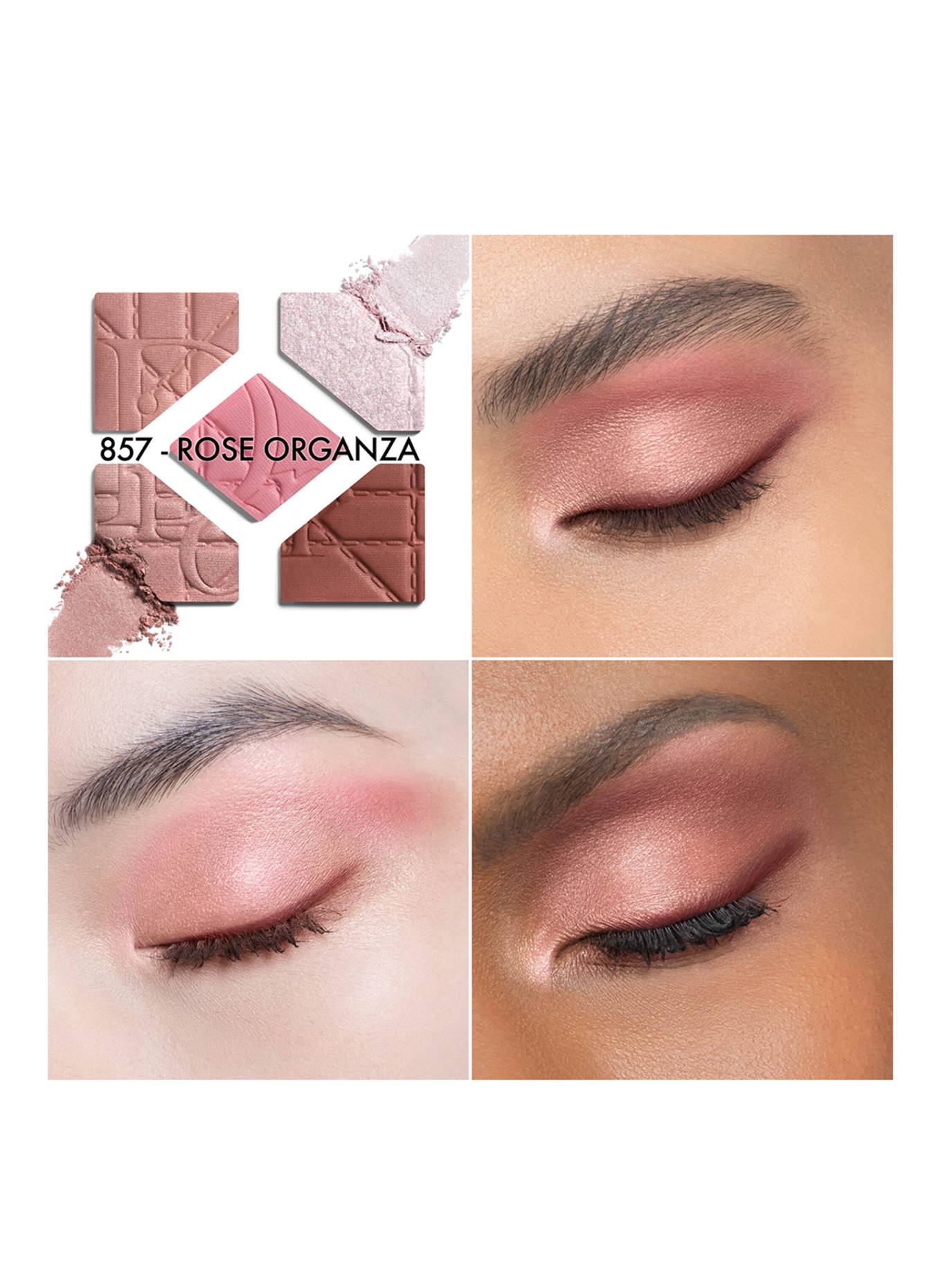 DIOR DIORSHOW 5 COULEURS - LIMITIERTE EDITION: 857 ROSE ORGANZA