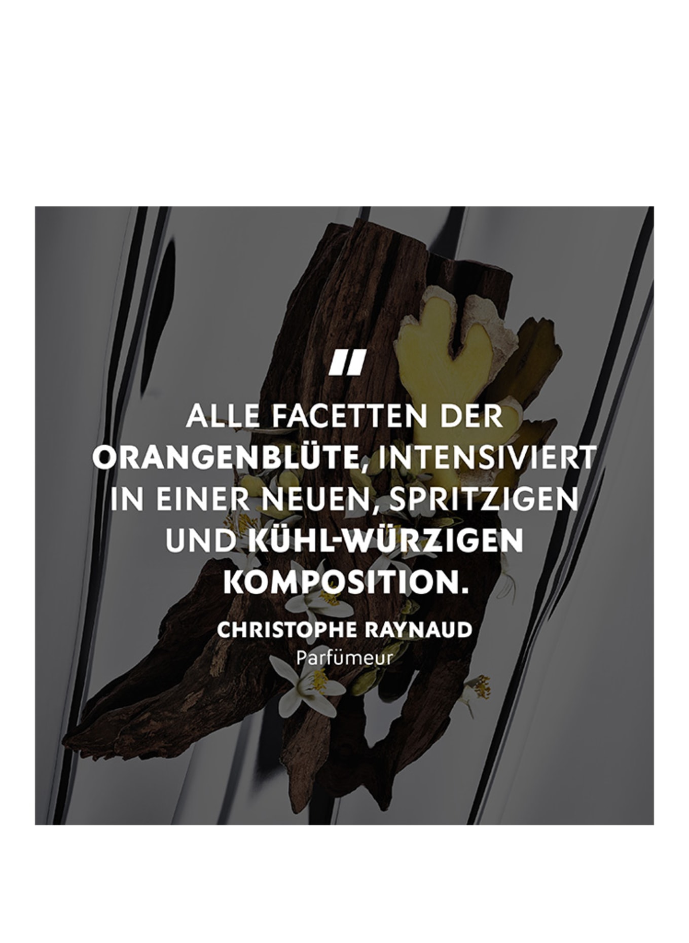 YVES SAINT LAURENT BEAUTÉ MYSLF L´ABSOLU