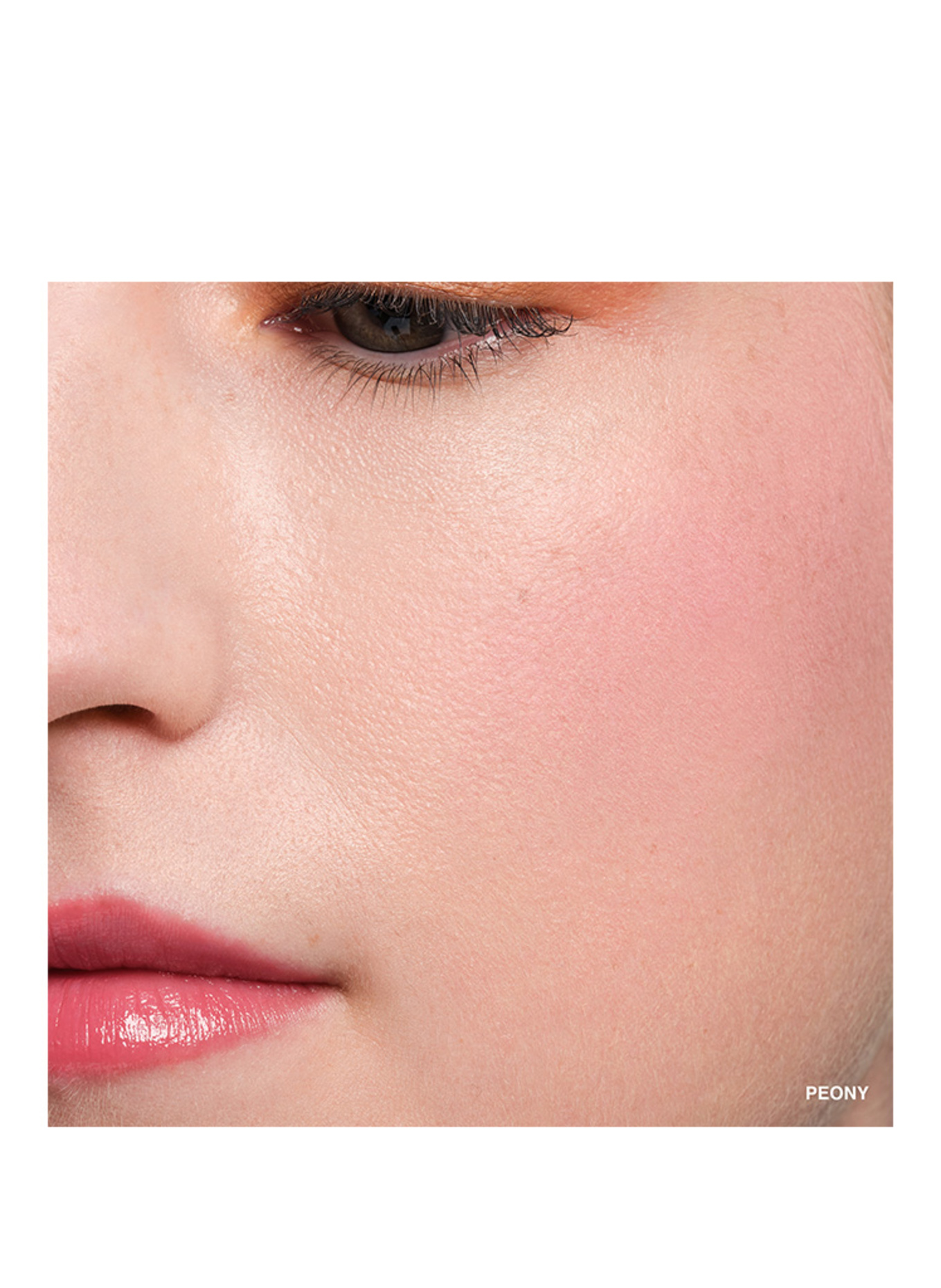 BOBBI BROWN POT ROUGE VELVET MATTE: PEONY