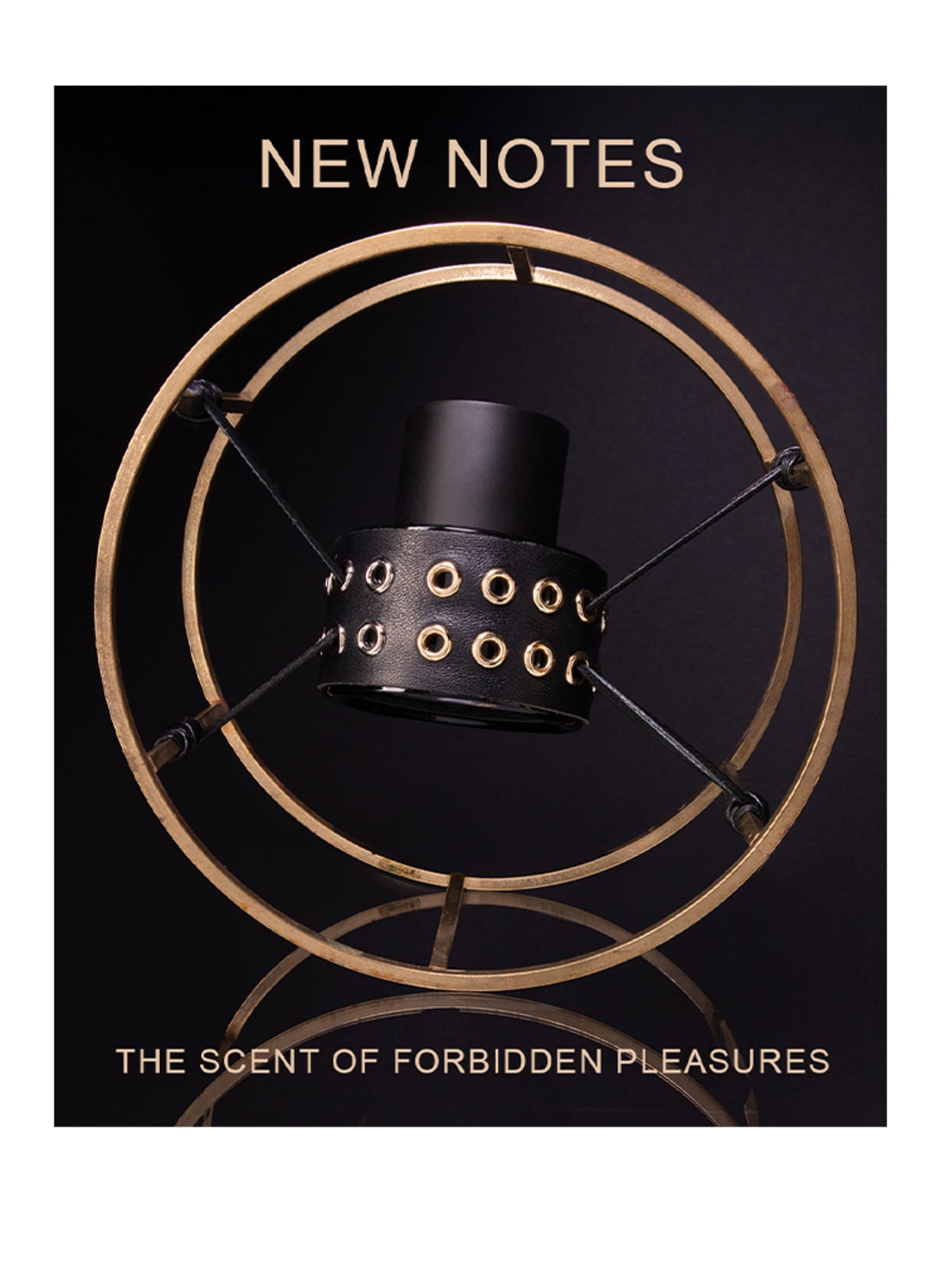 NEW NOTES EROTIKA MAXIMALE