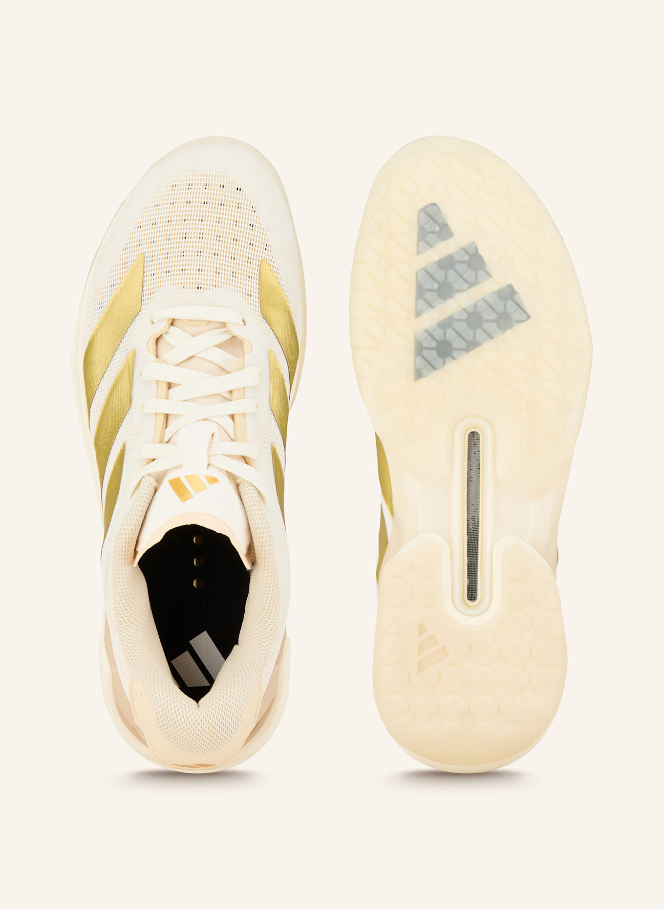 adidas Indoorschuhe COUNTERBLAST: CREME/ GOLD