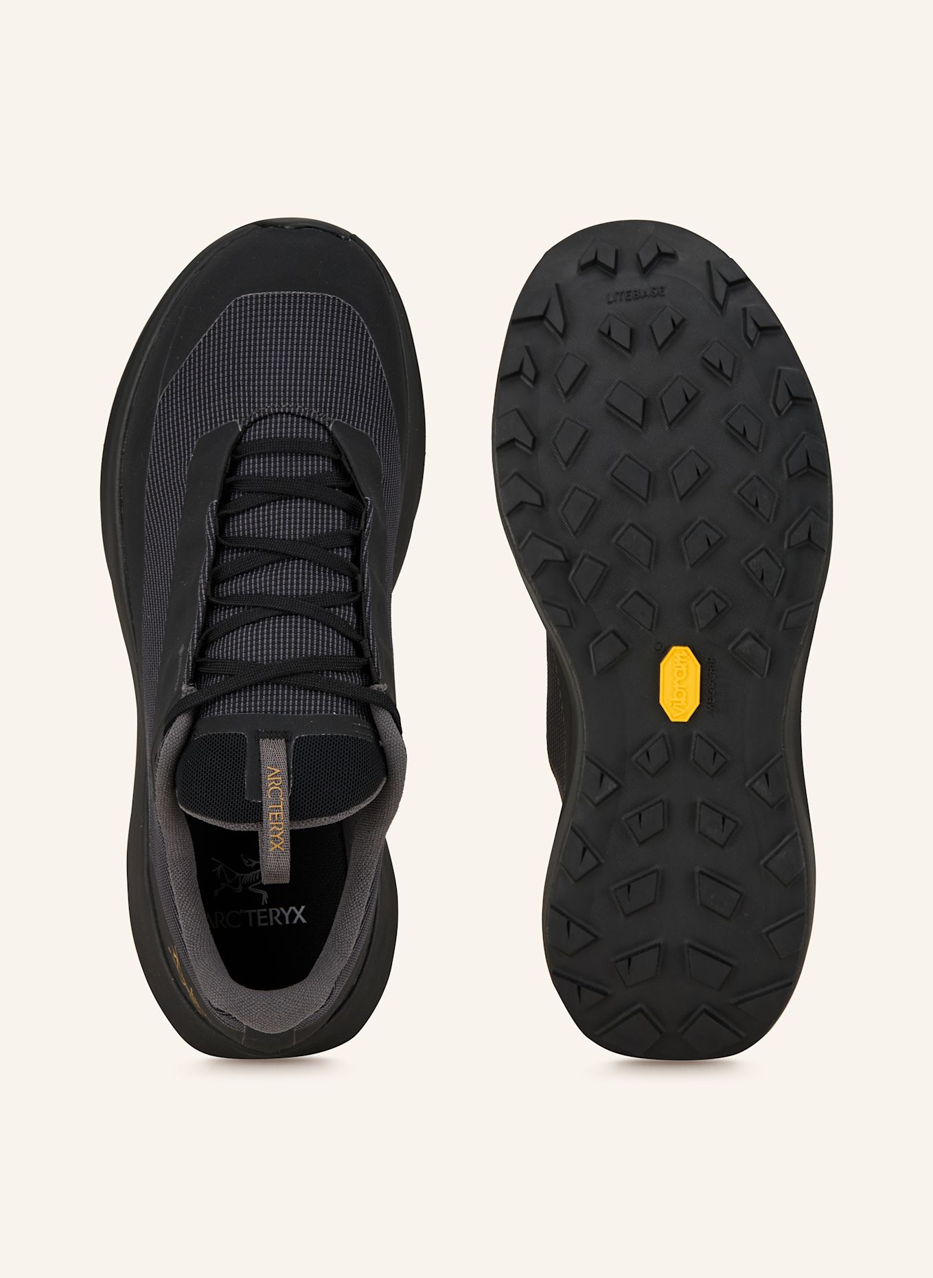 ARC'TERYX Trailrunning-Schuhe NORVAN LD 4 GTX: SCHWARZ