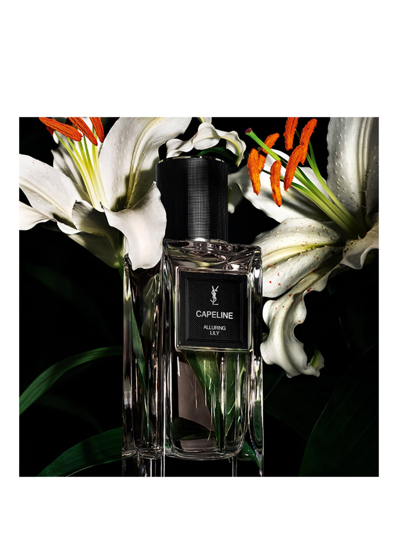 YSL - LE VESTIAIRE DES PARFUMS CAPELINE