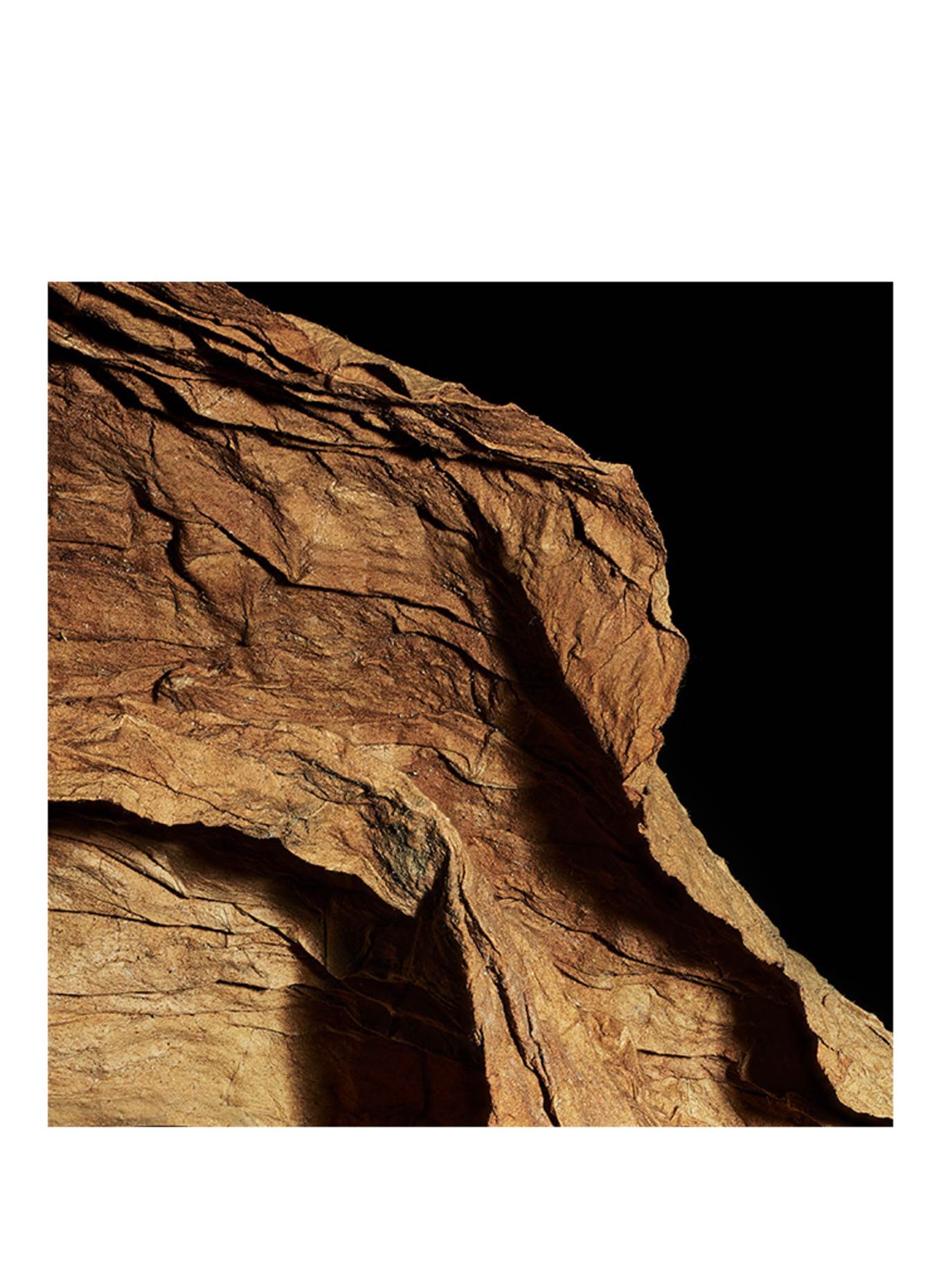 YSL - LE VESTIAIRE DES PARFUMS 83 NEW YORK