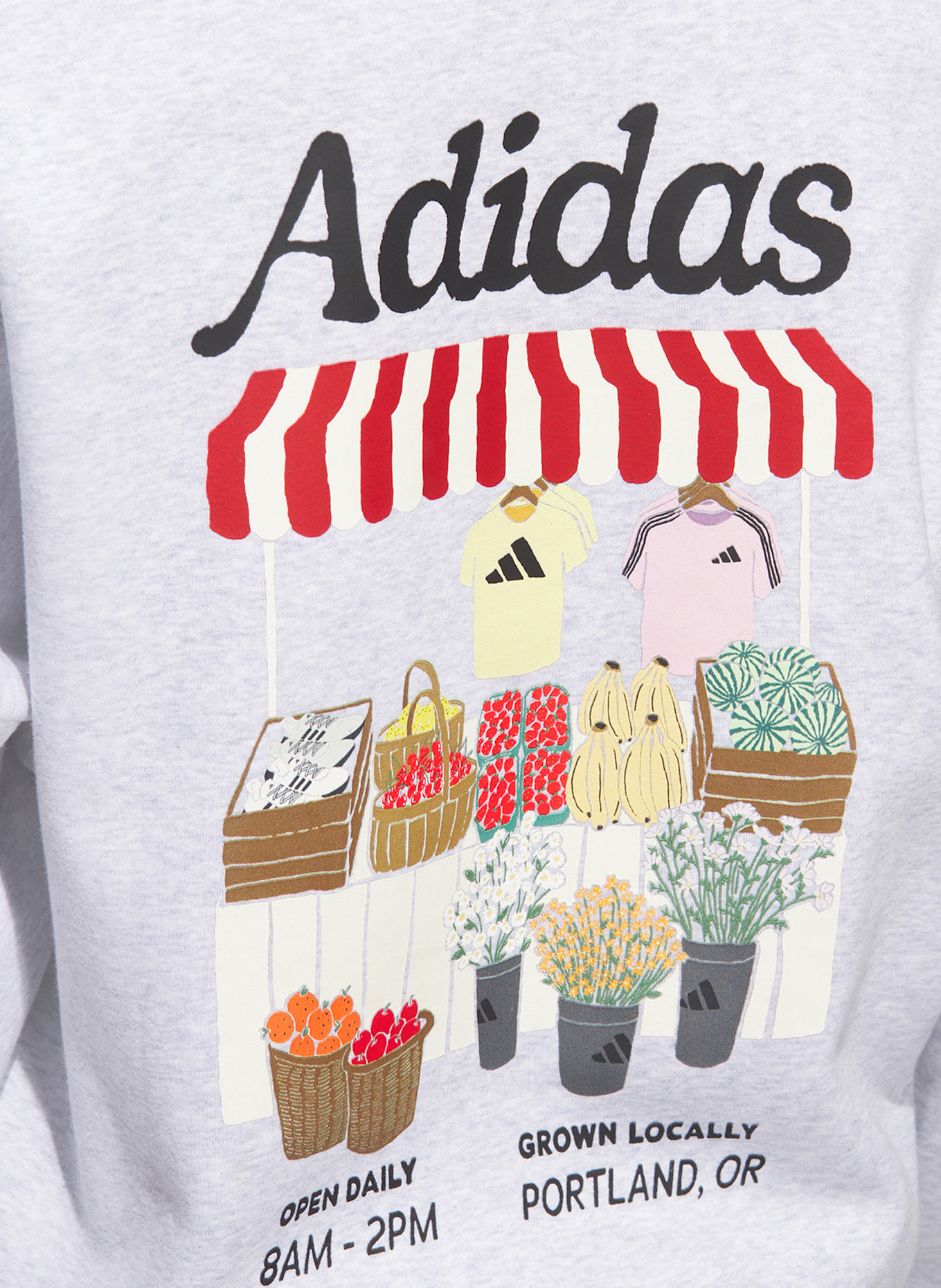 adidas FARMERS MARKET GRAPHIC sweatshirt: GRAY