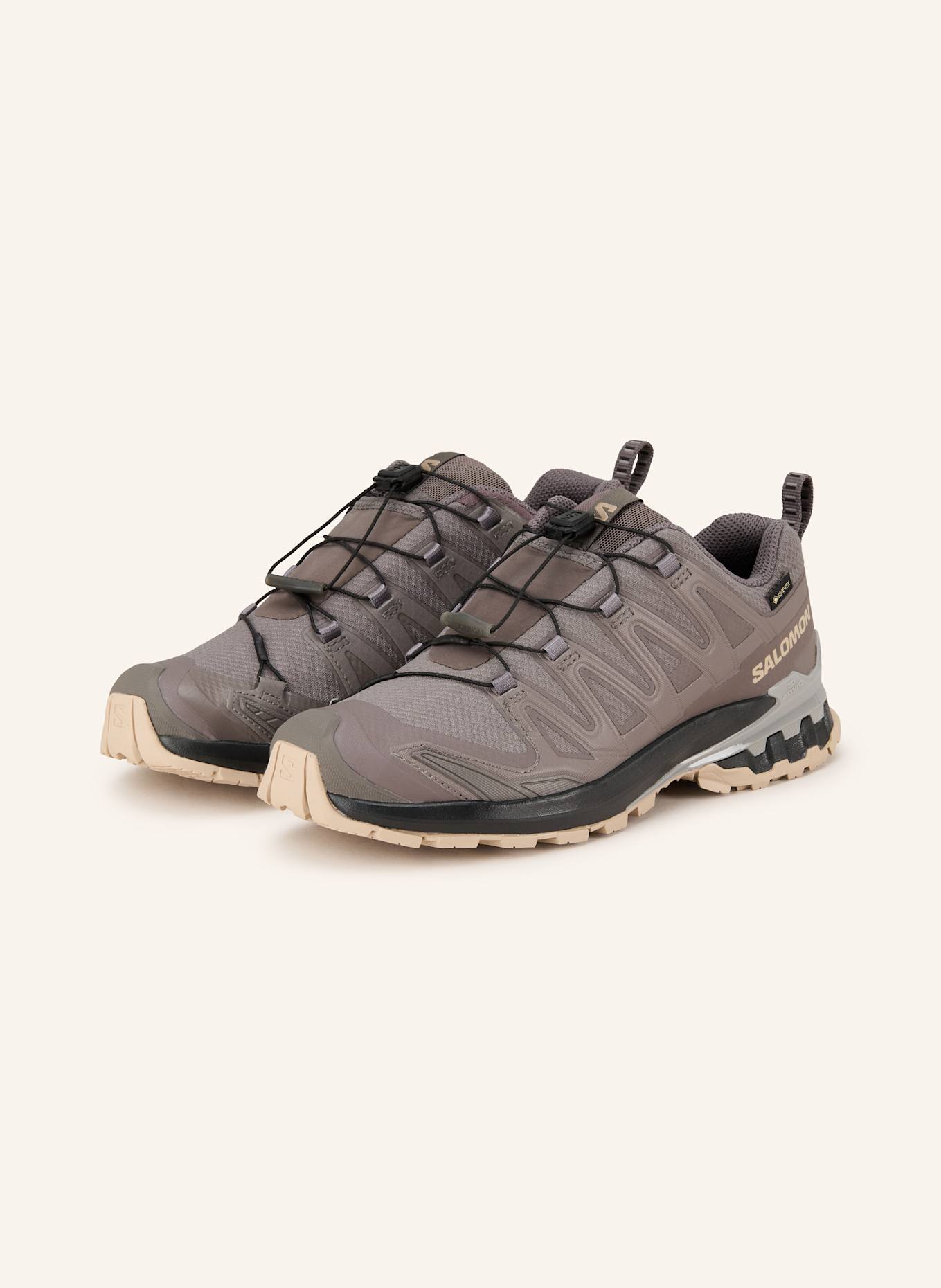 SALOMON Wanderschuhe XA PRO 3D V9 GTX: TAUPE