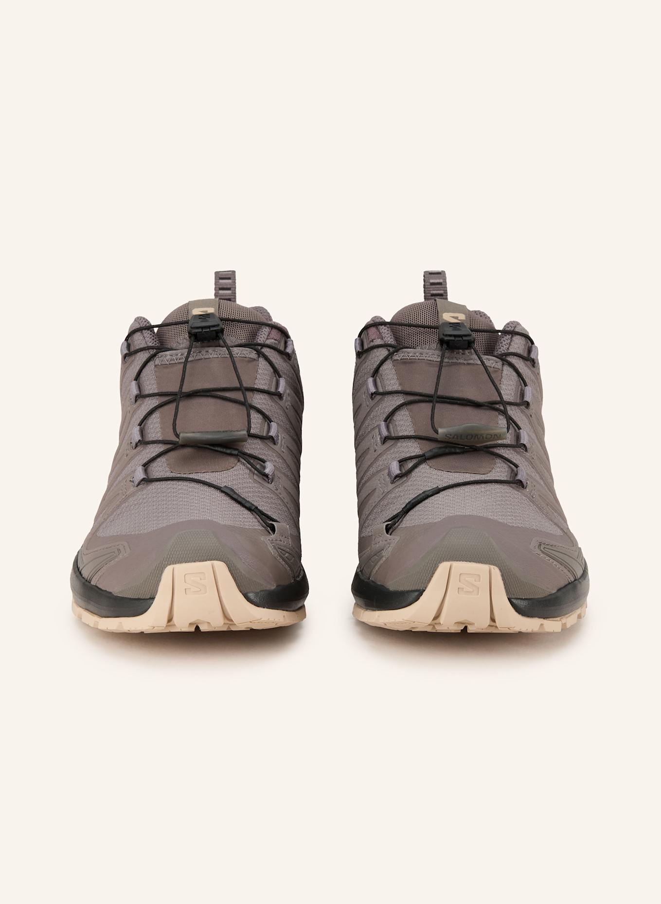 SALOMON Wanderschuhe XA PRO 3D V9 GTX: TAUPE